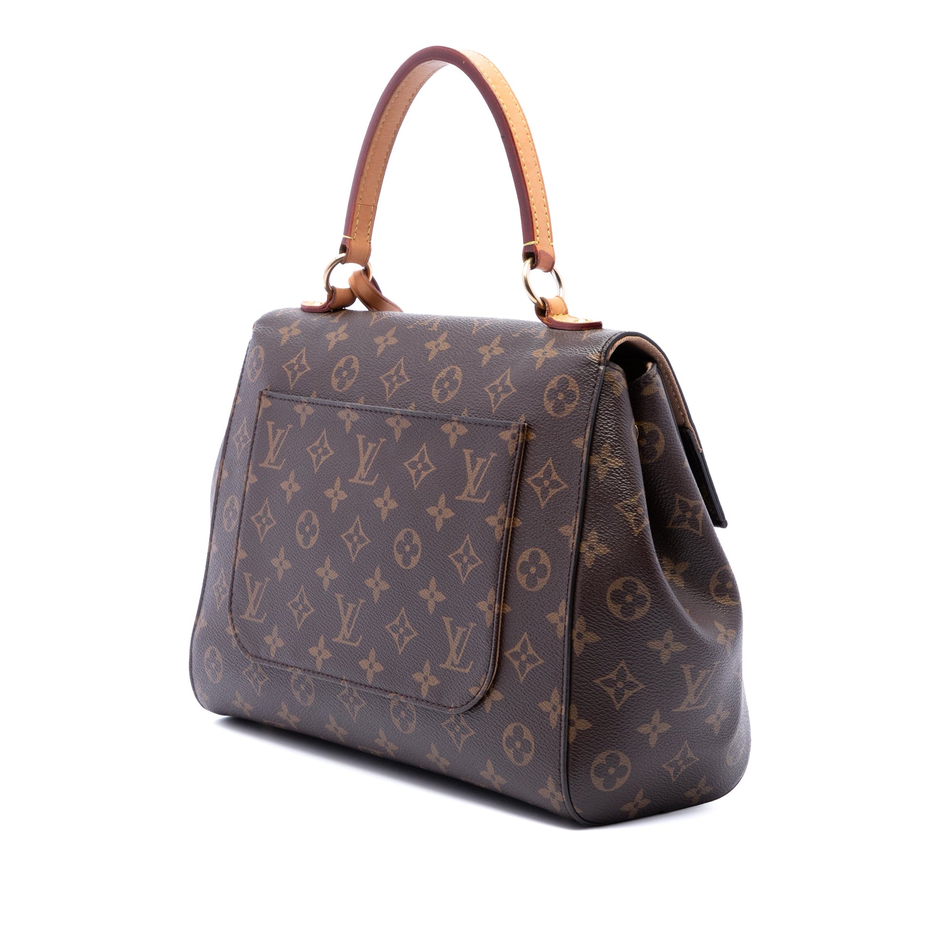 Louis Vuitton Monogram Cluny MM