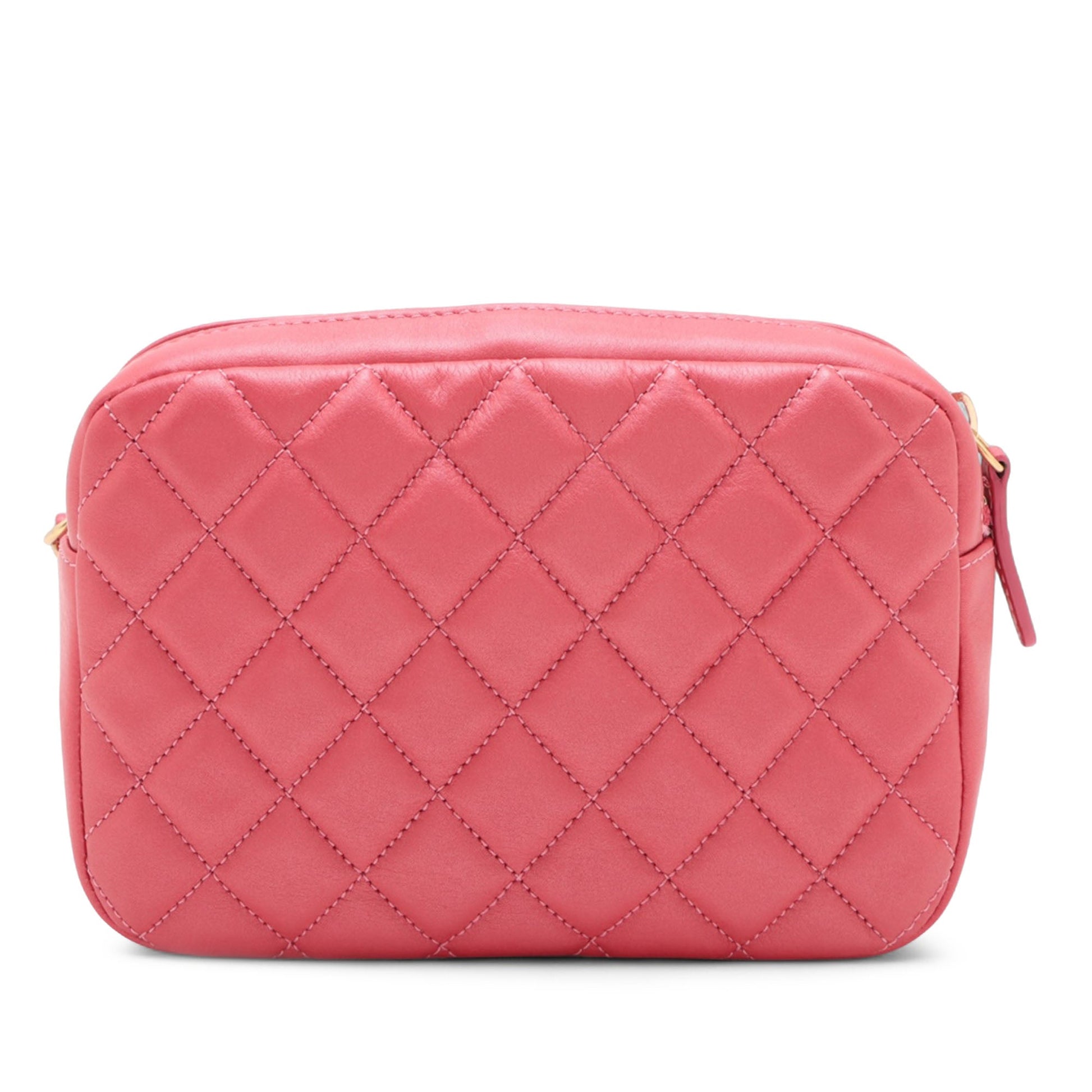 Chanel Quilted Lambskin Day Trips Camera Bag