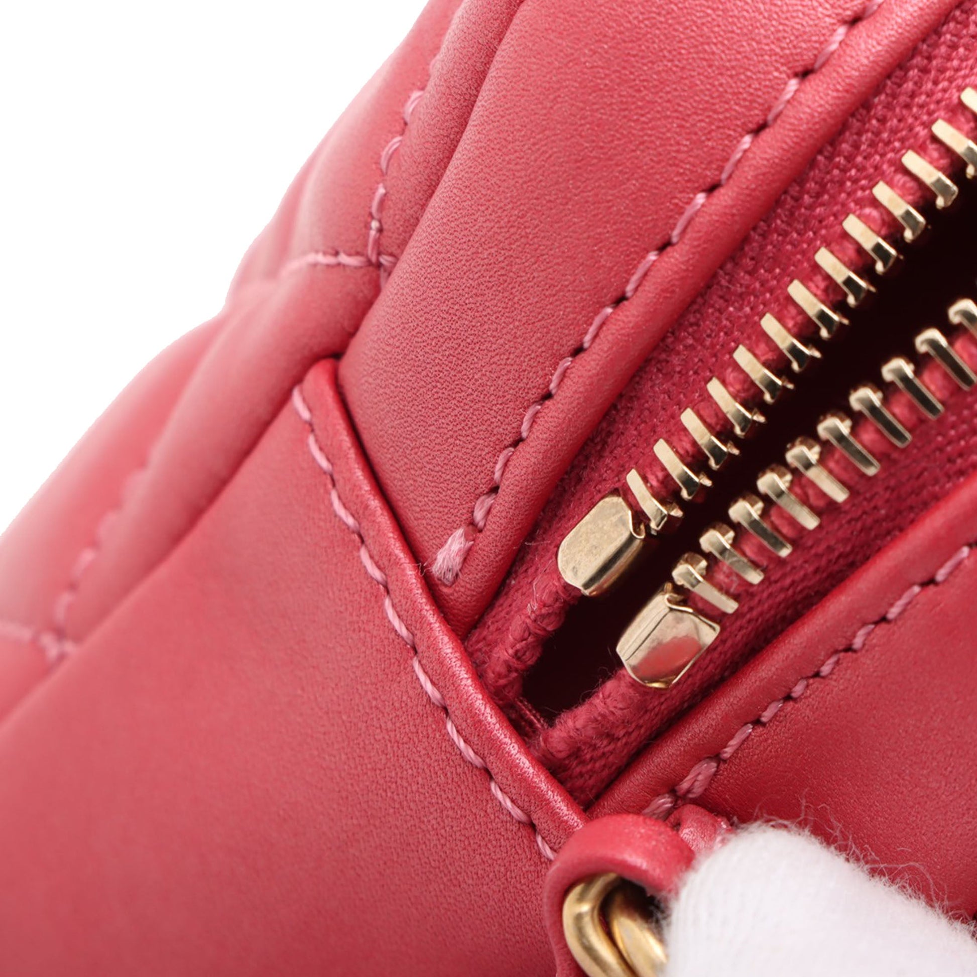 Chanel Quilted Lambskin Day Trips Camera Bag