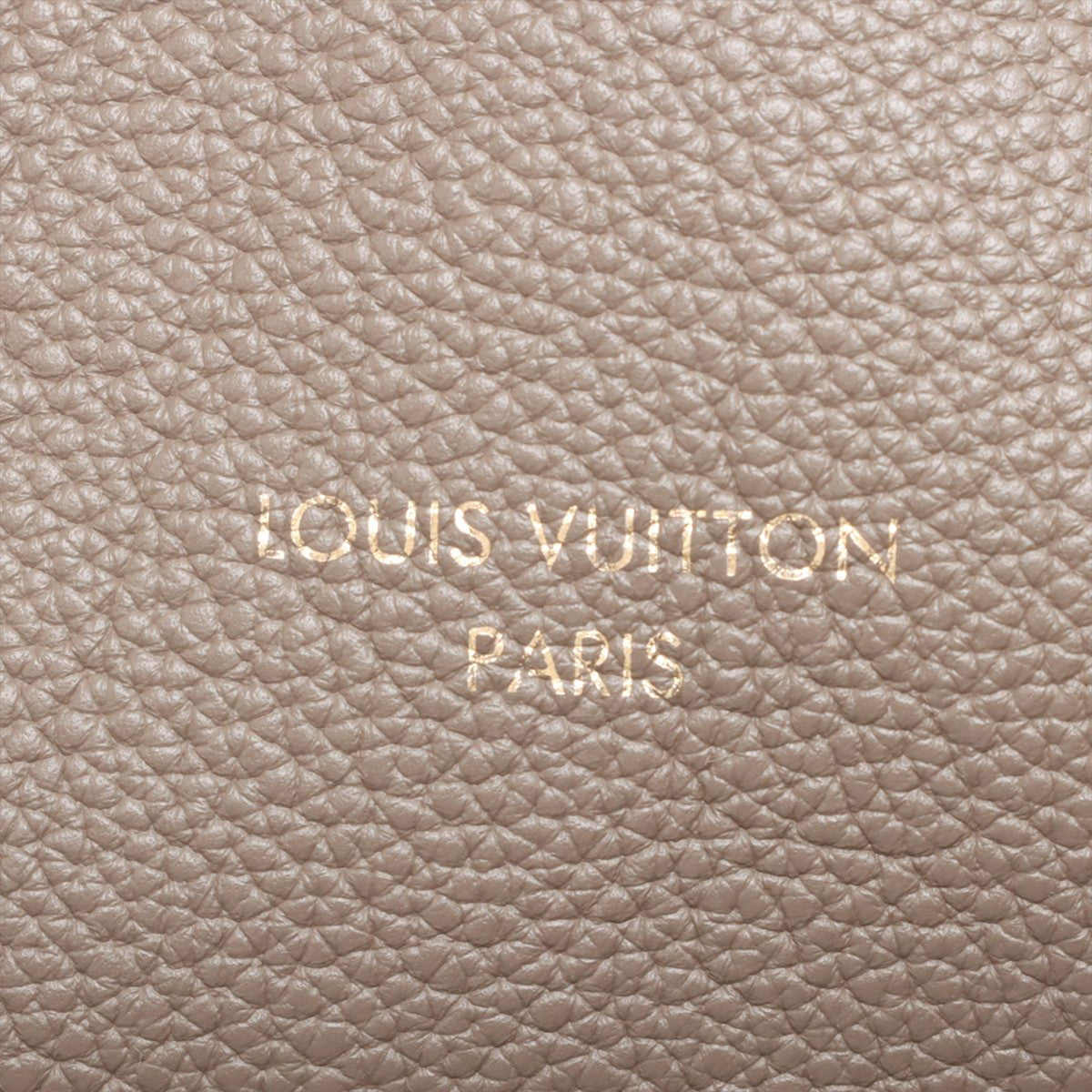 Louis Vuitton Monogram Express PM