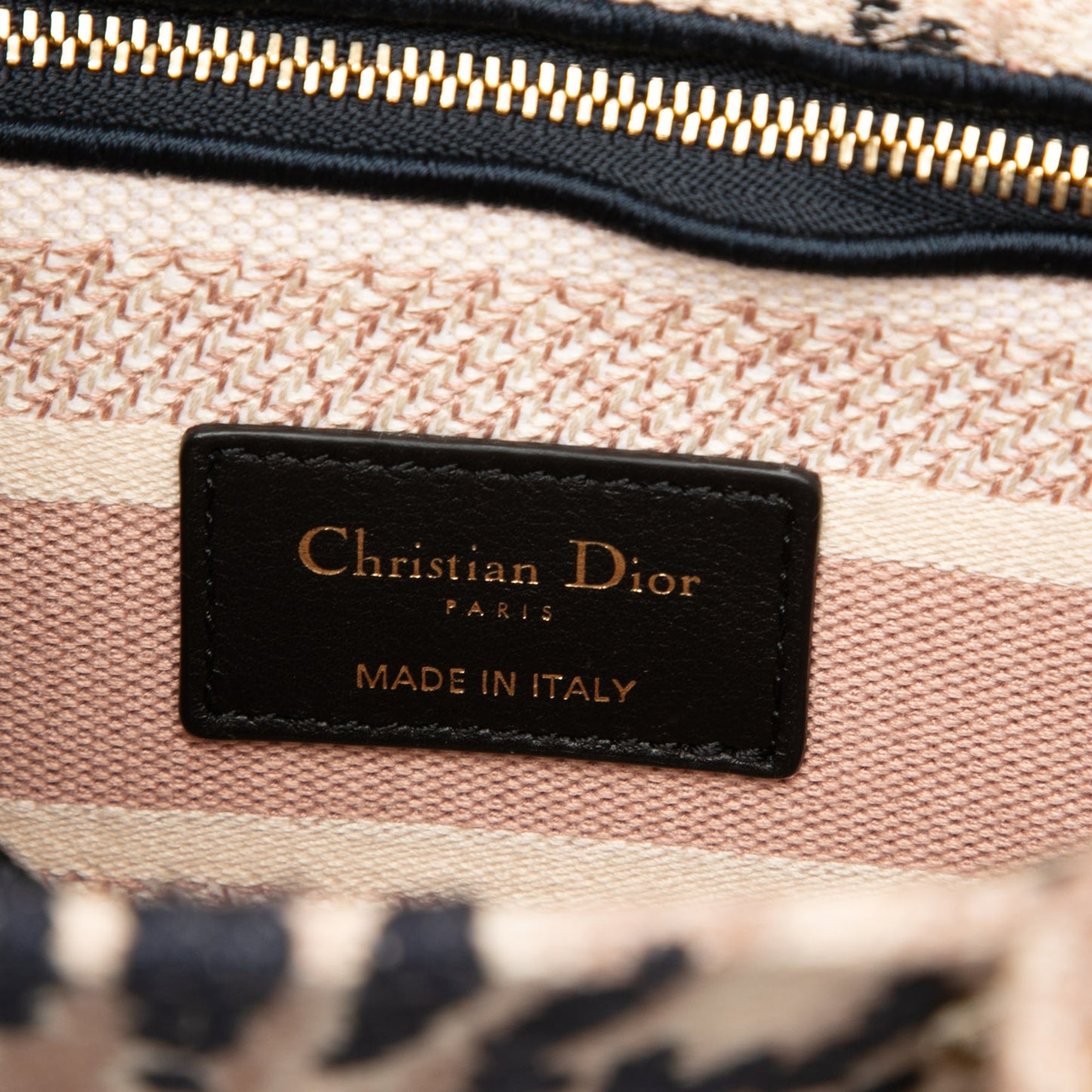 Dior Medium Embroidered Canvas Tie Dye Lady D Lite