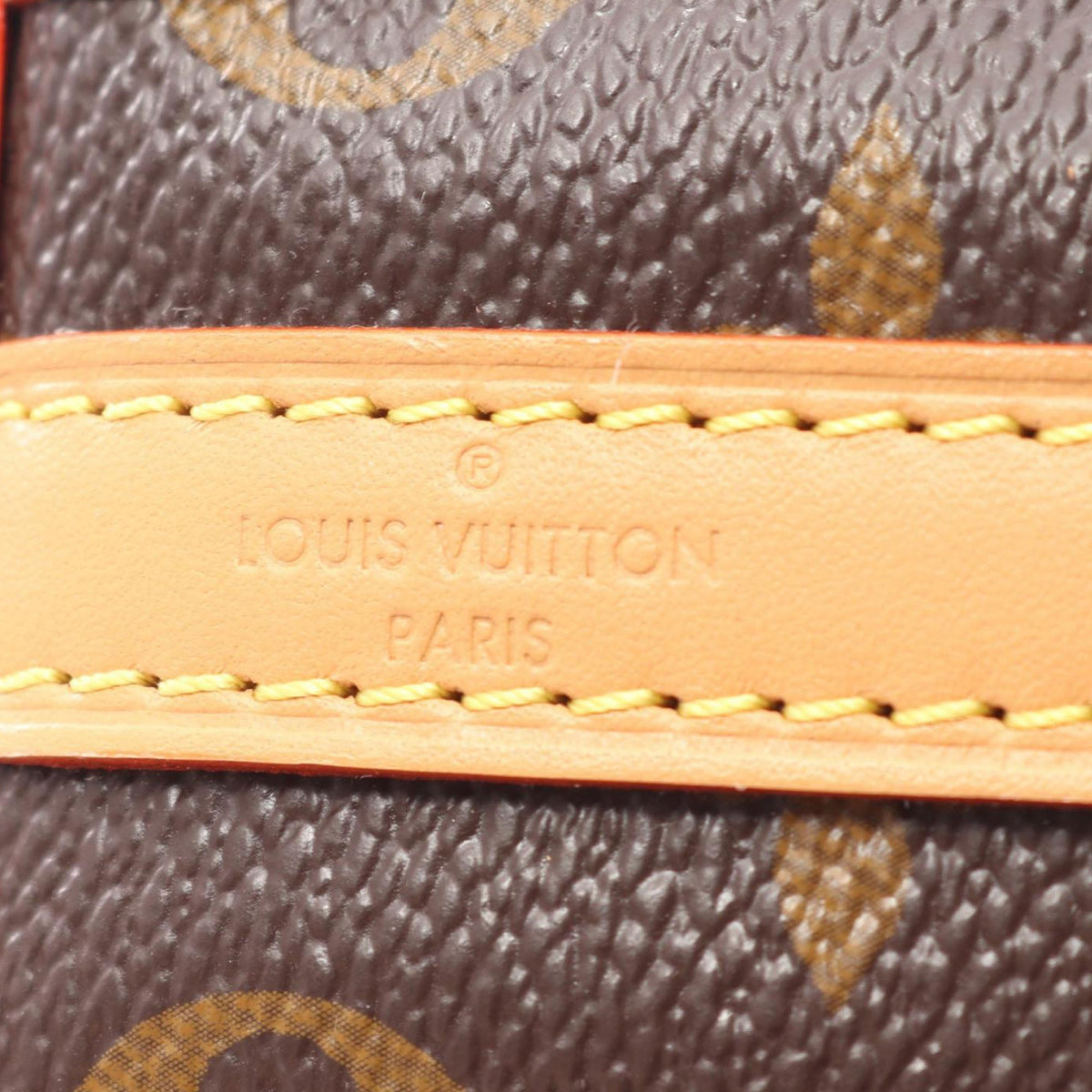 Louis Vuitton Monogram Noe Purse