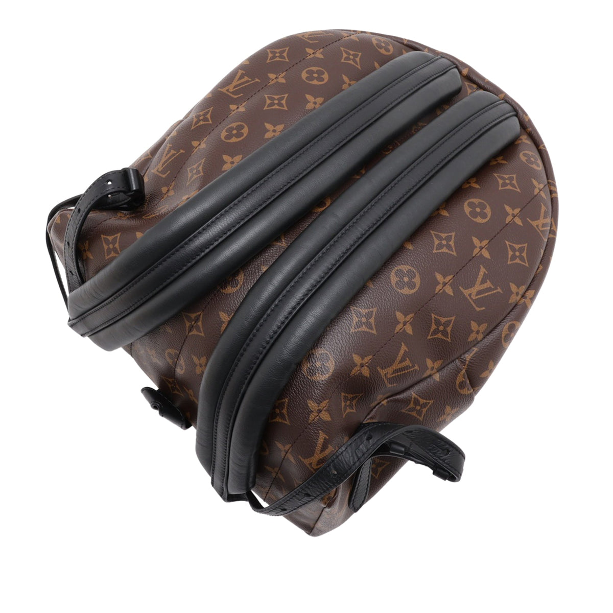 Louis Vuitton Monogram Palm Springs MM — Brown