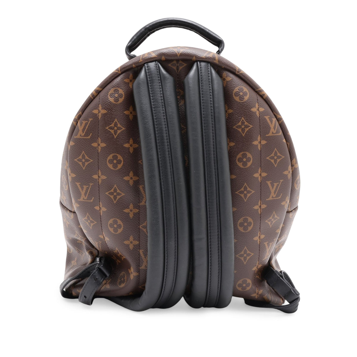 Louis Vuitton Monogram Palm Springs MM — Brown