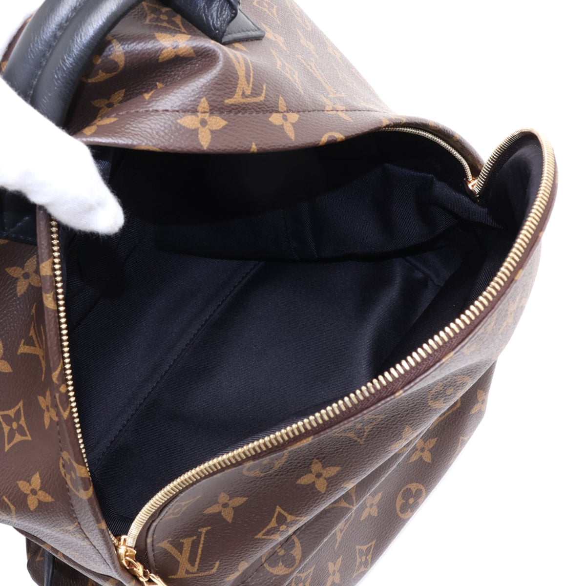 Louis Vuitton Monogram Palm Springs MM — Brown