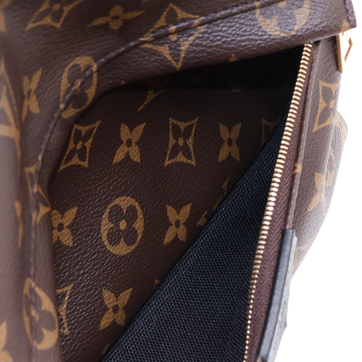 Louis Vuitton Monogram Palm Springs MM — Brown