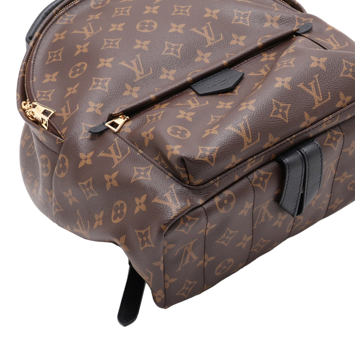 Louis Vuitton Monogram Palm Springs MM — Brown