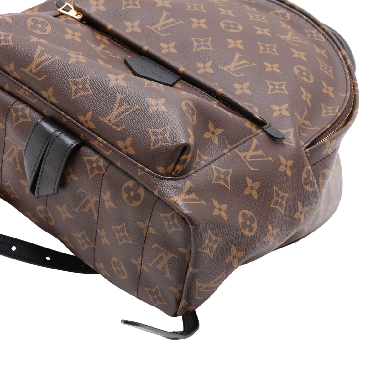Louis Vuitton Monogram Palm Springs MM — Brown