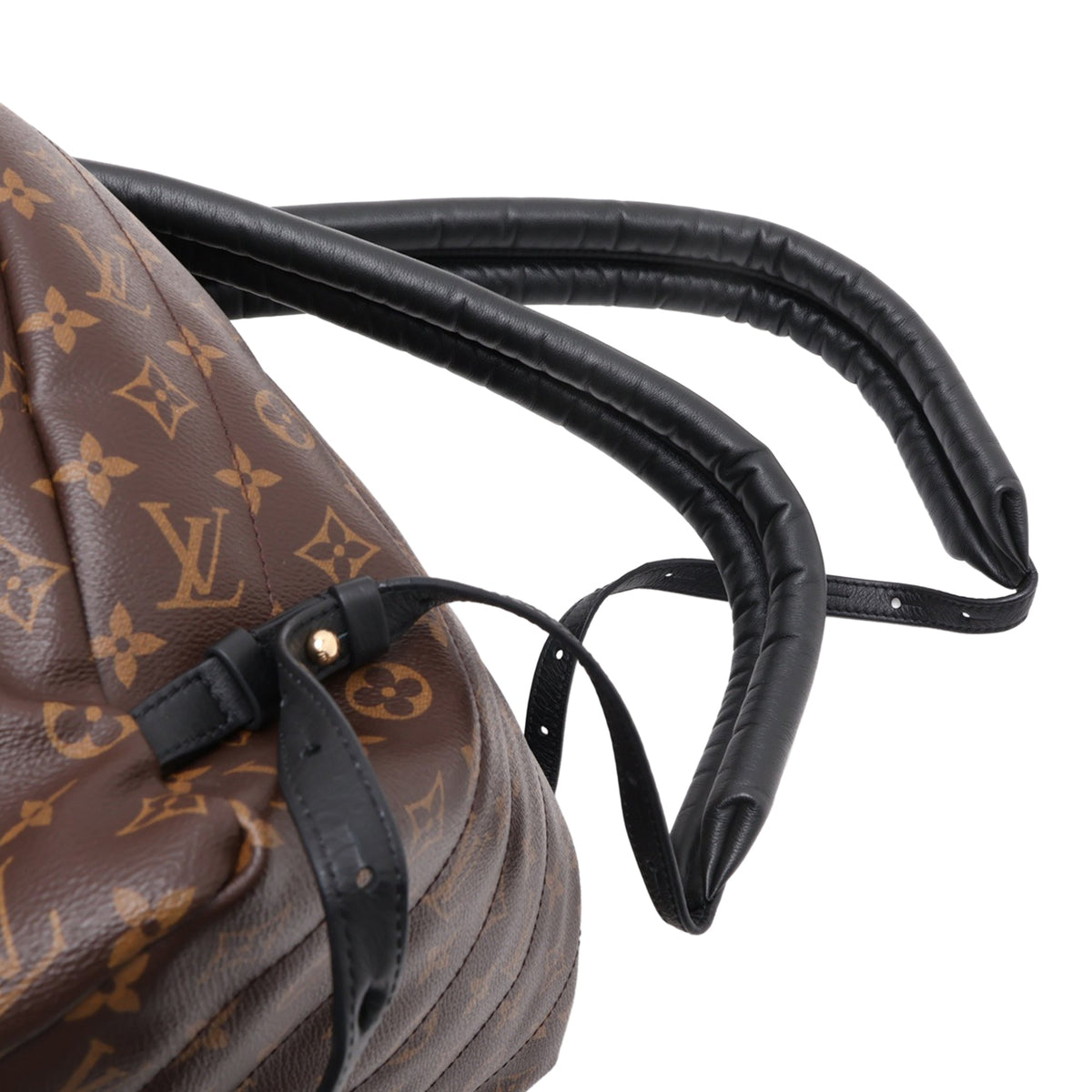 Louis Vuitton Monogram Palm Springs MM — Brown