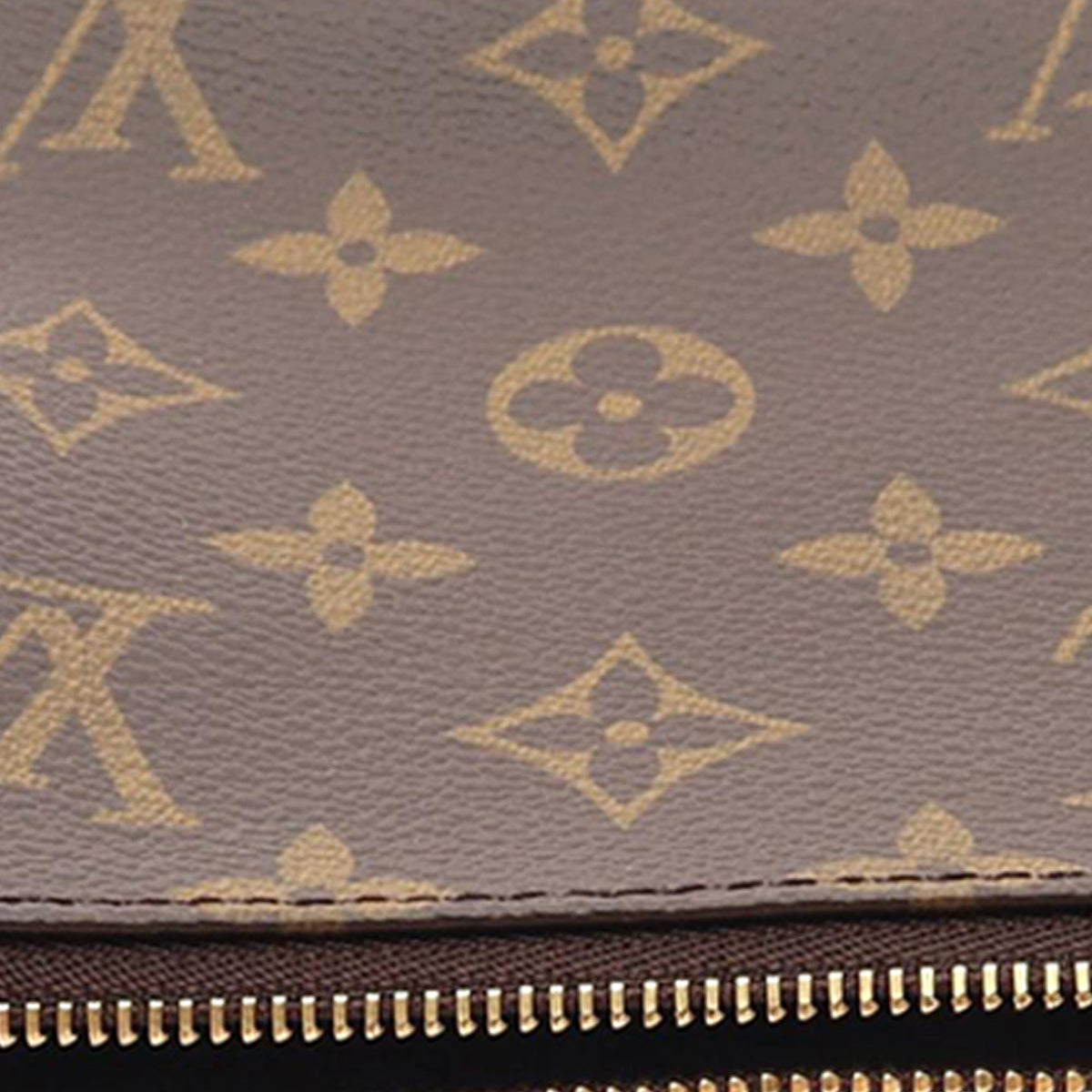 Louis Vuitton Monogram Pochette Accessoires