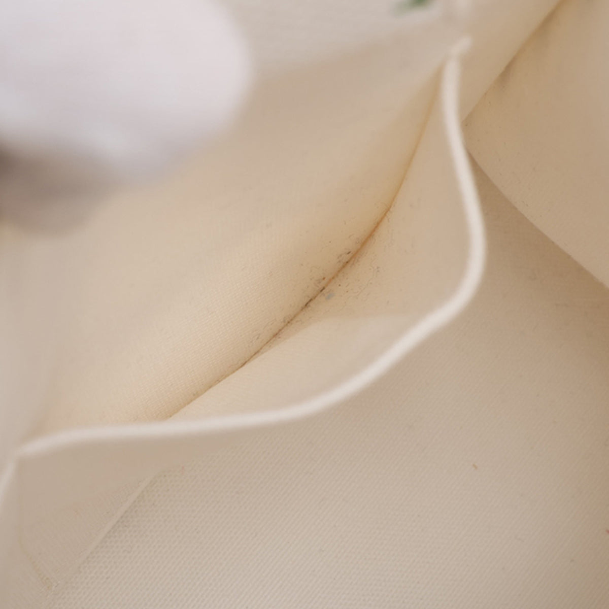 Dior Small Canvas Book Tote — White