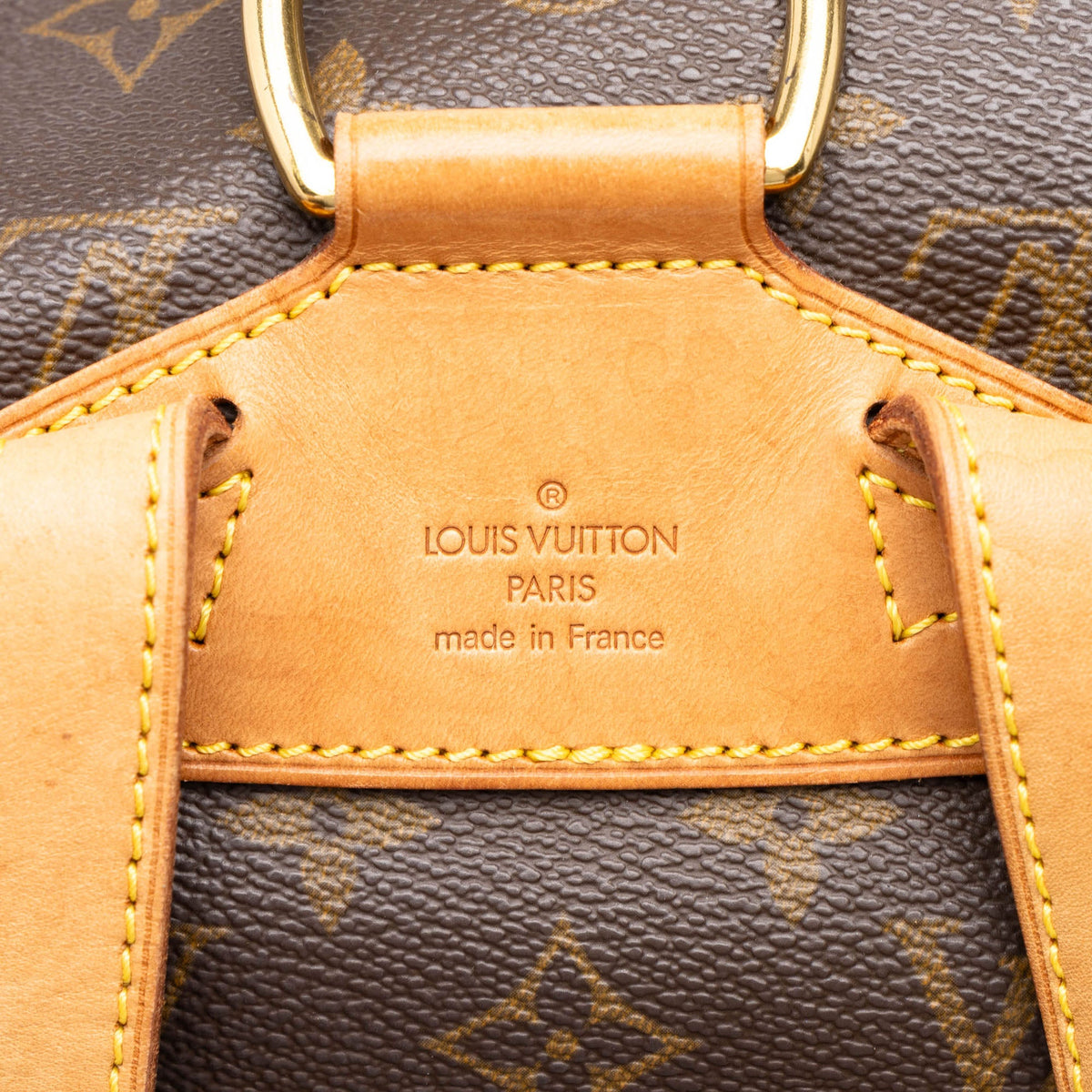 Louis Vuitton Monogram Montsouris PM — Brown