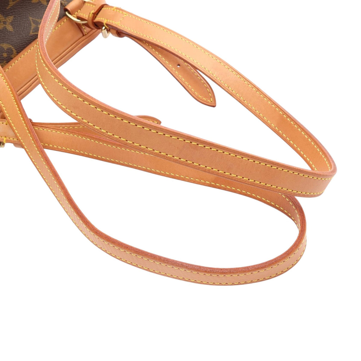 Louis Vuitton Monogram Mini Montsouris — Brown