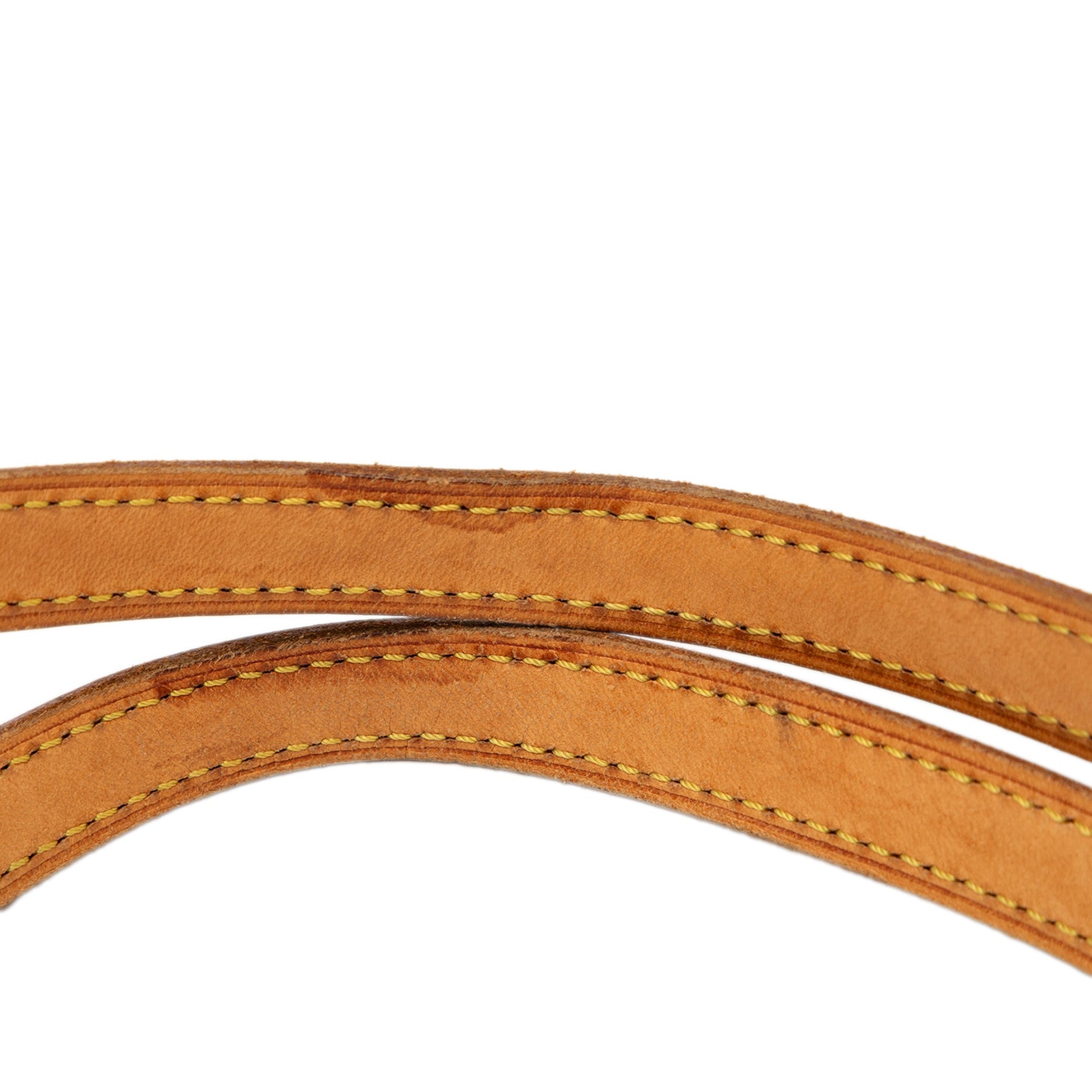 Louis Vuitton Monogram Petit Bucket