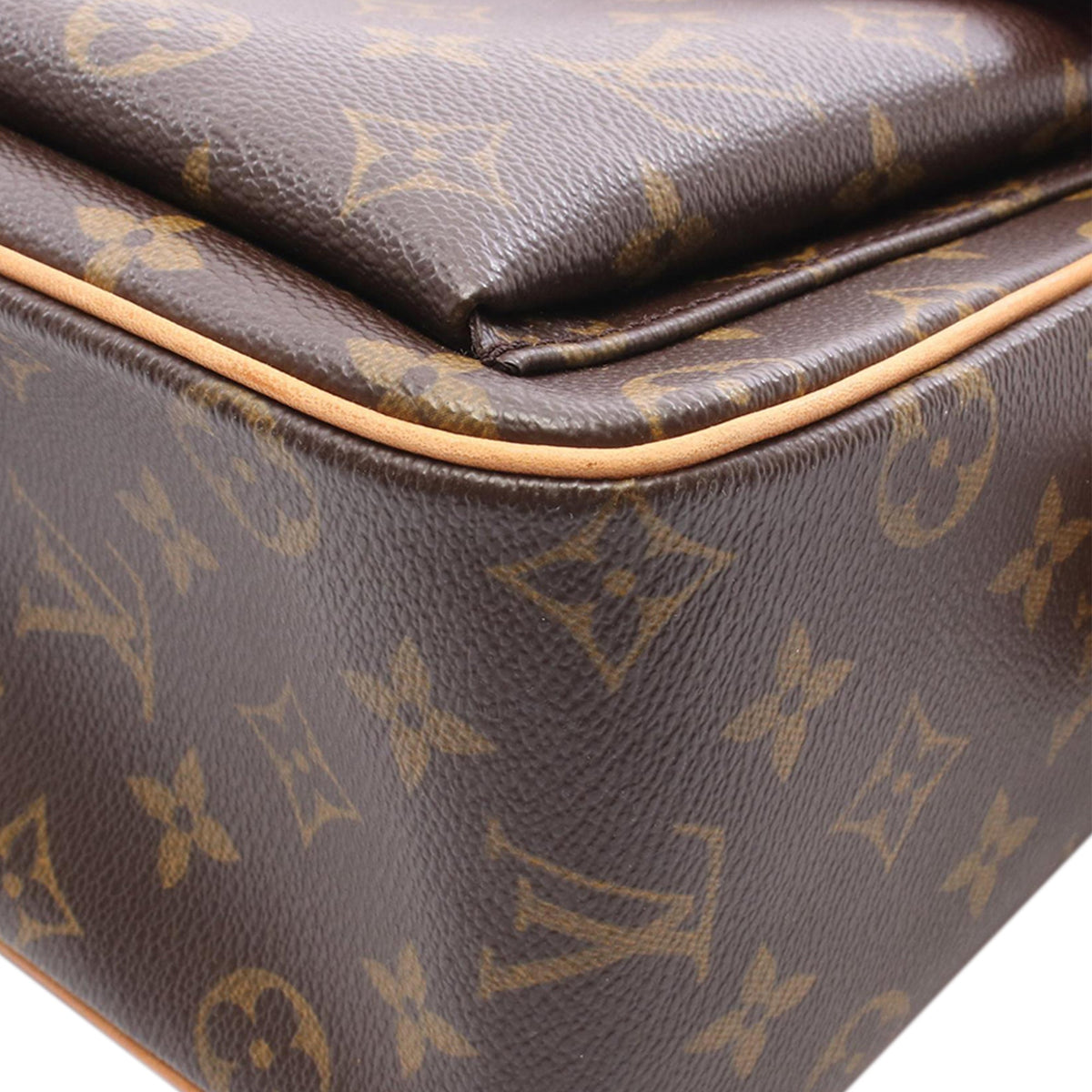 Louis Vuitton Monogram Viva Cite GM