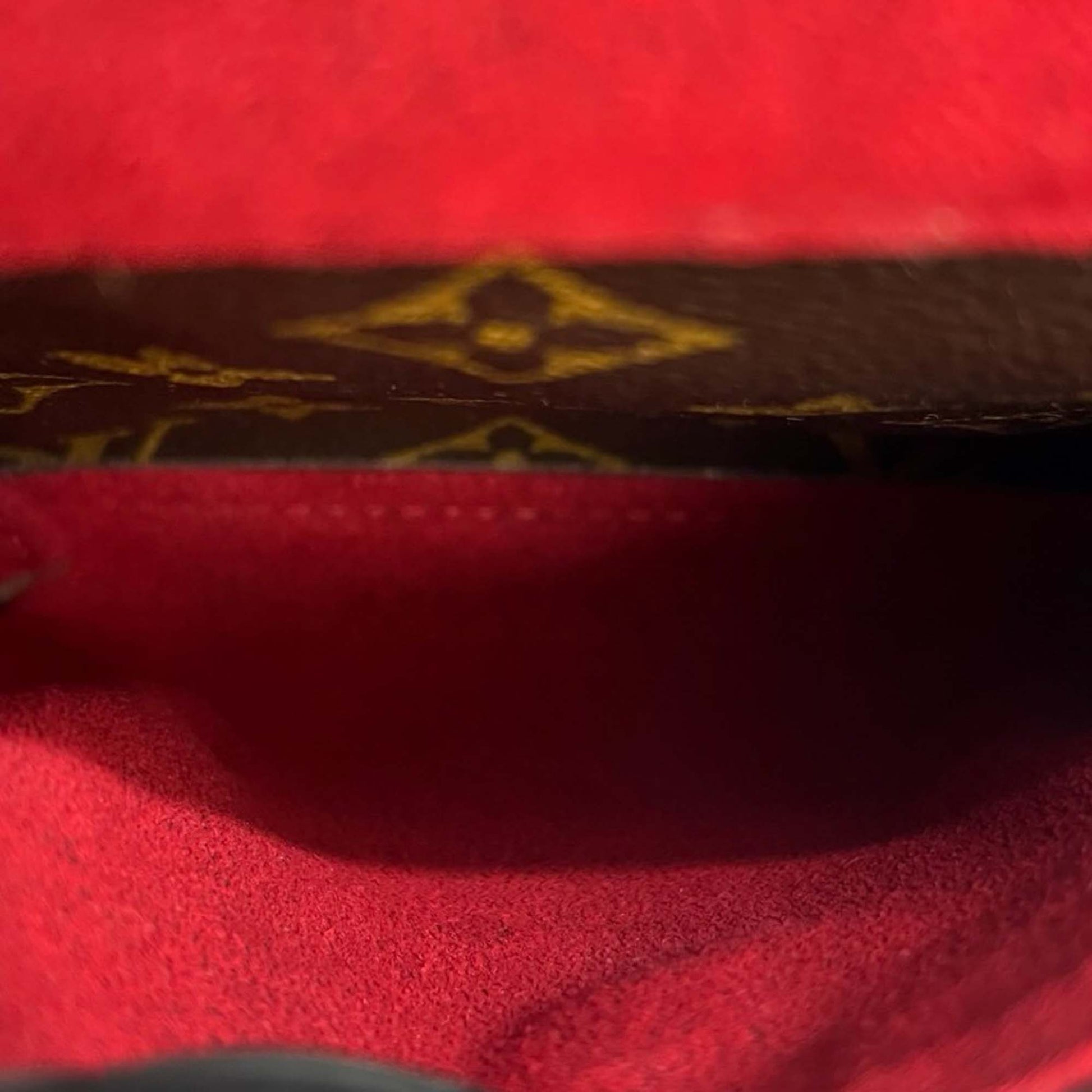 Louis Vuitton Monogram Viva Cite MM