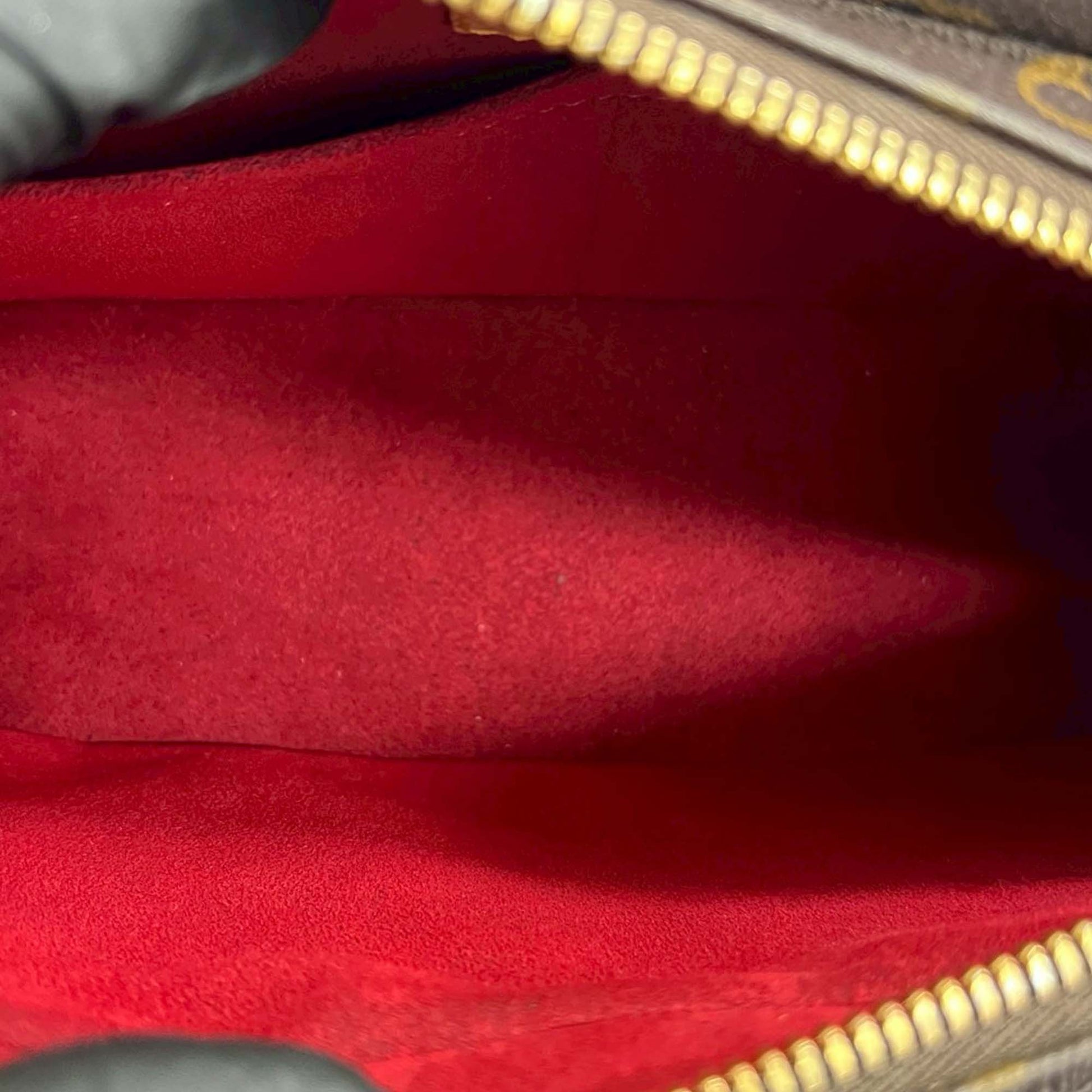 Louis Vuitton Monogram Viva Cite MM
