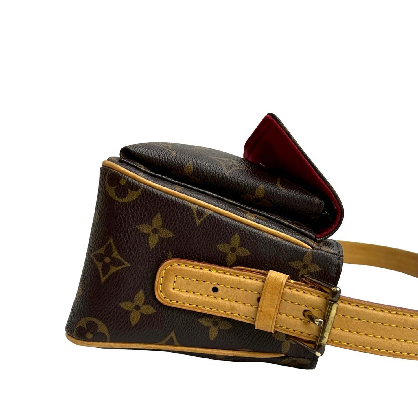 Louis Vuitton Monogram Viva Cite MM