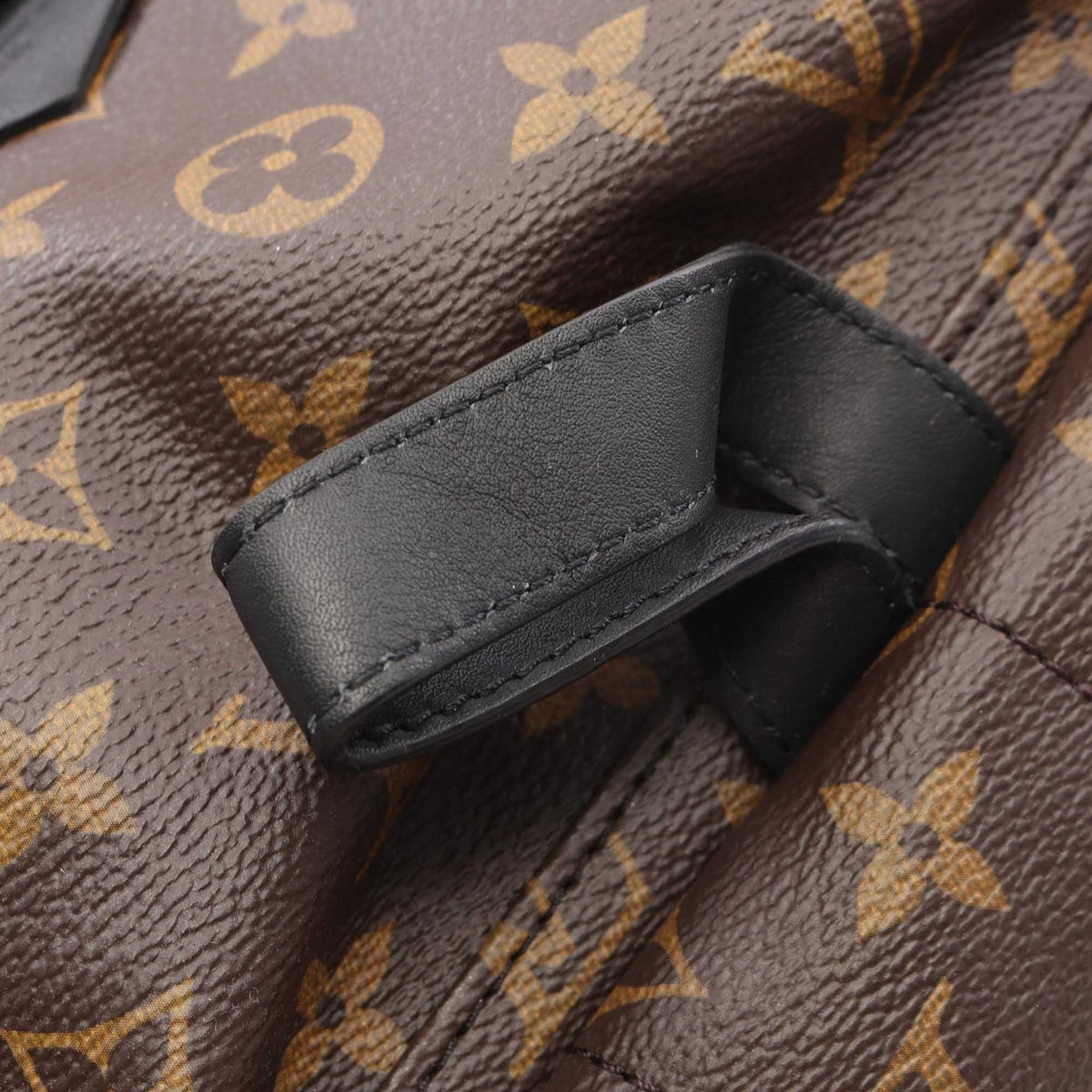 Louis Vuitton Monogram Palm Springs MM
