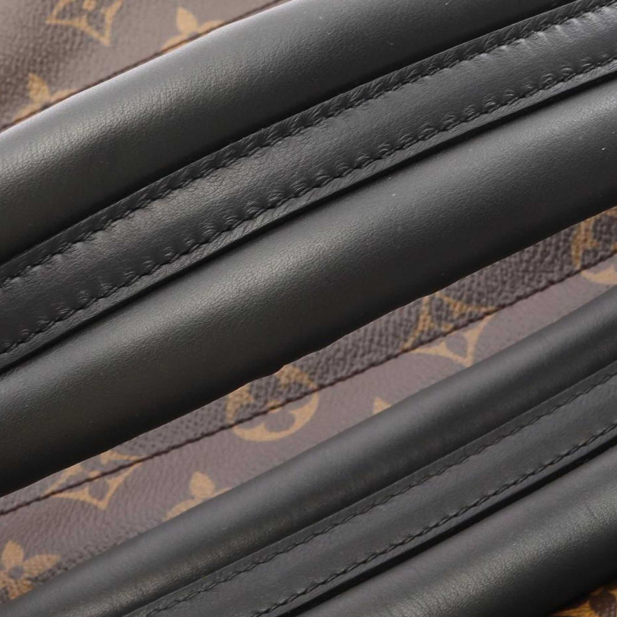 Louis Vuitton Monogram Palm Springs MM