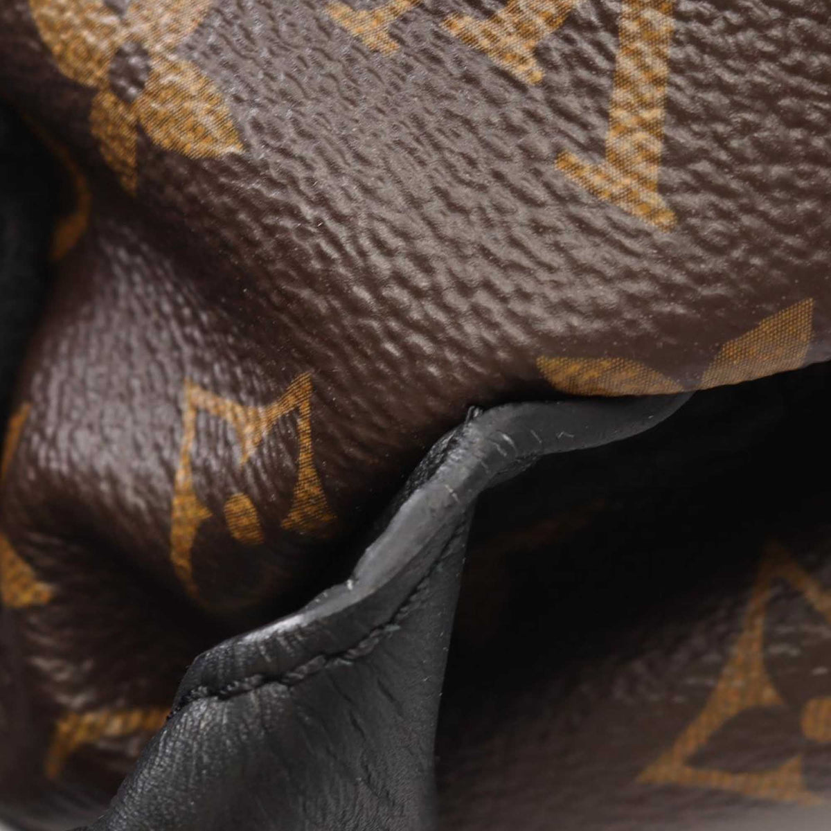 Louis Vuitton Monogram Palm Springs MM
