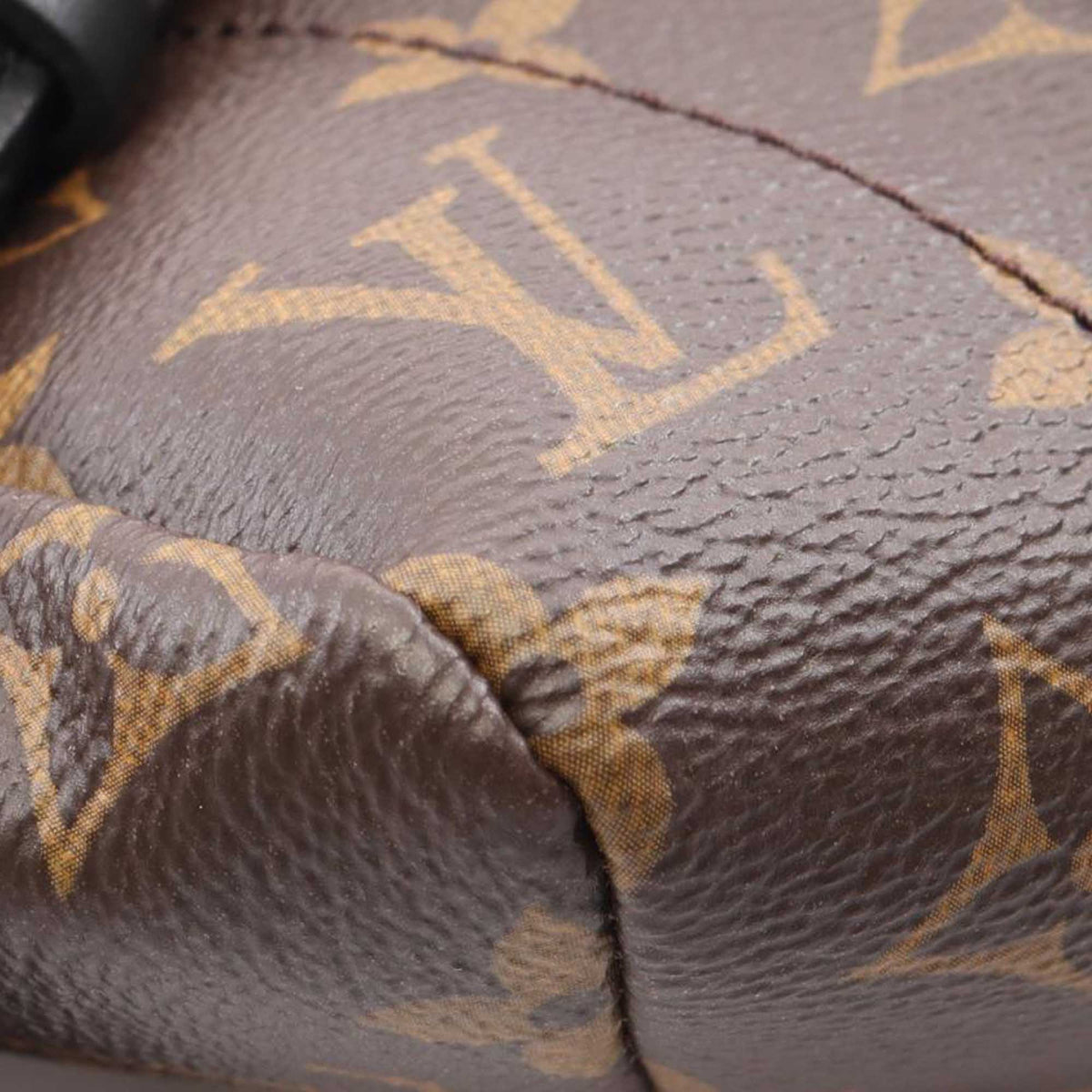 Louis Vuitton Monogram Palm Springs MM