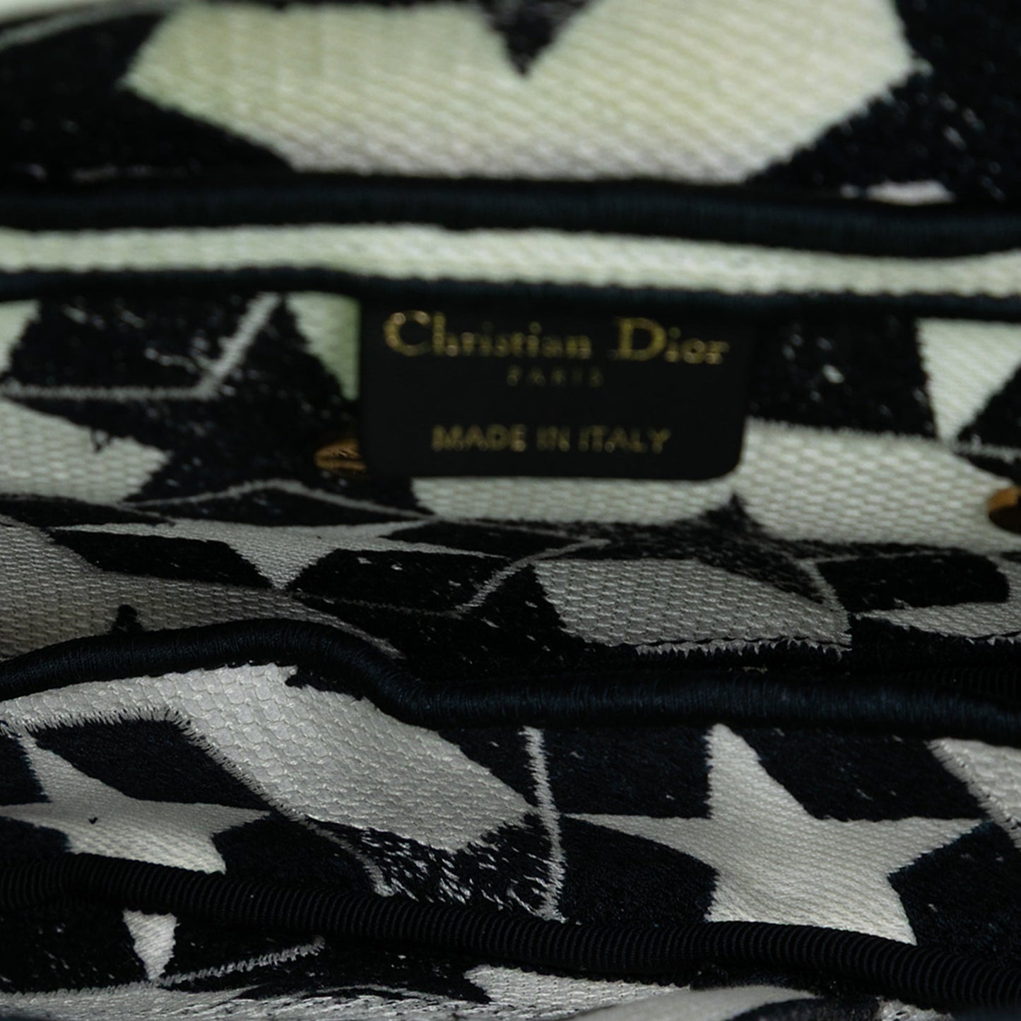 Dior Embroidered Canvas Stars Saddle Bag