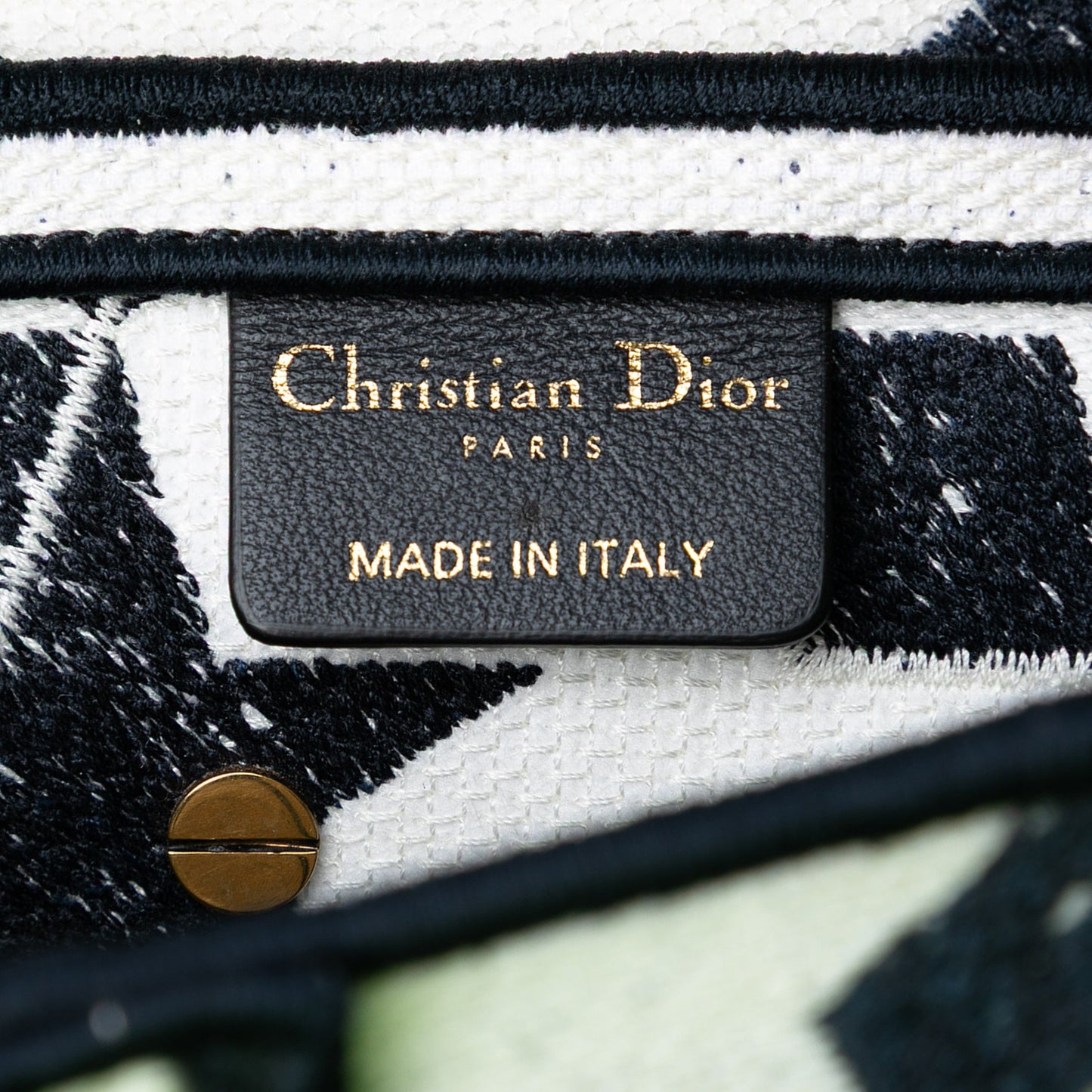 Dior Embroidered Canvas Stars Saddle Bag