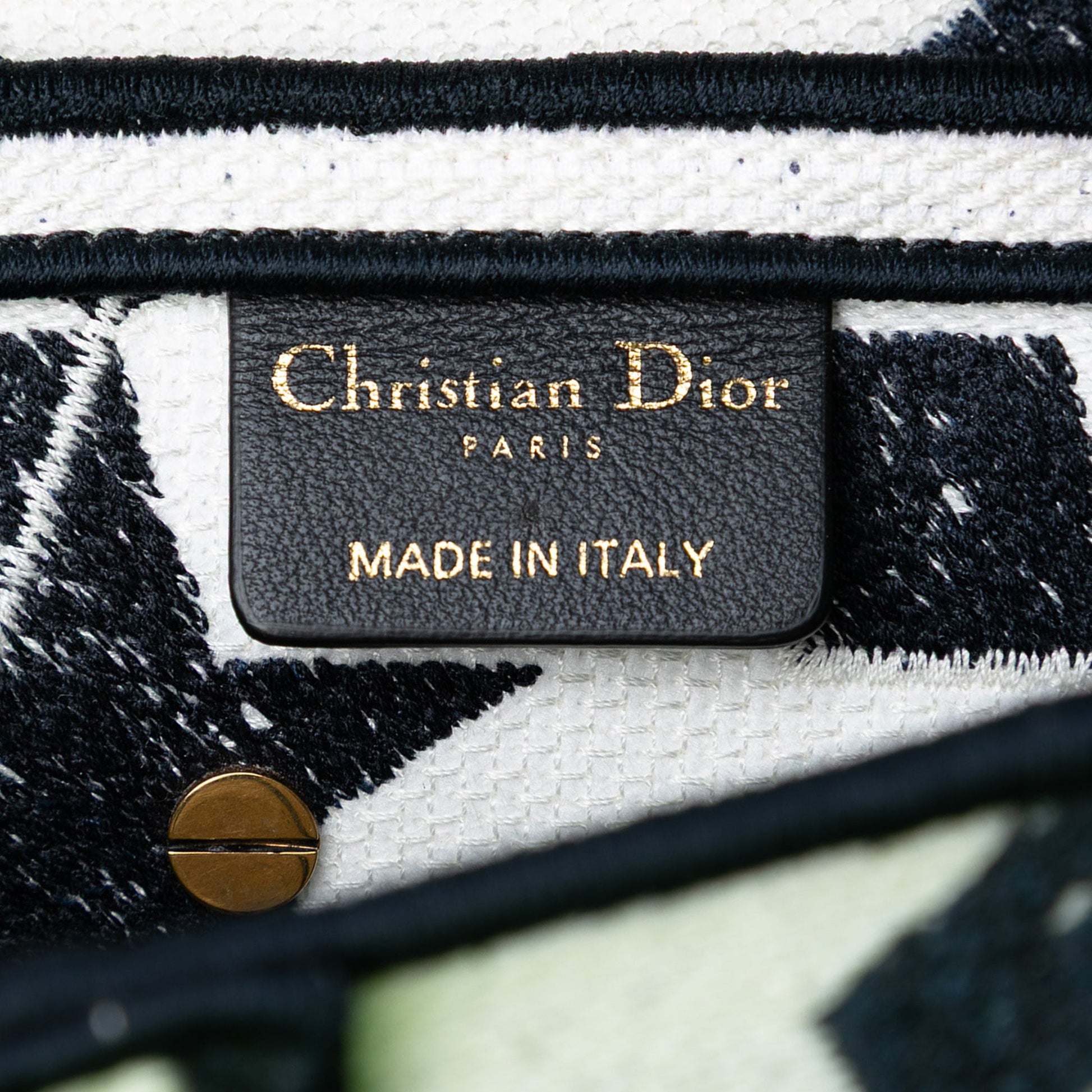 Dior Embroidered Canvas Stars Saddle Bag