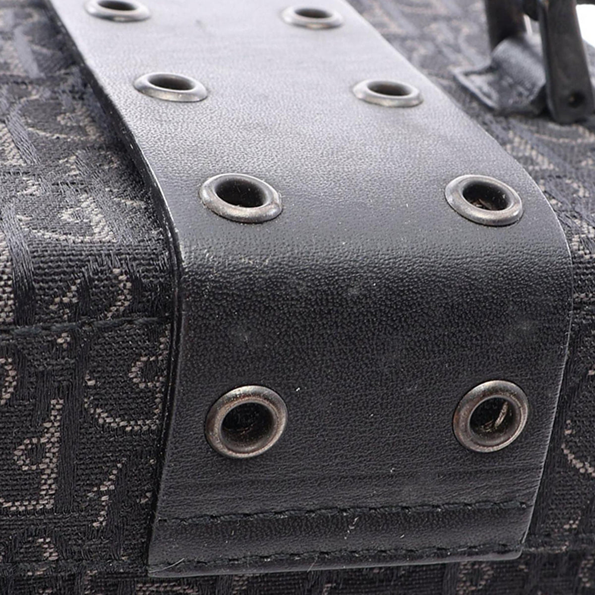 Dior Diorissimo Trotter Canvas Street Chic Vanity Bag