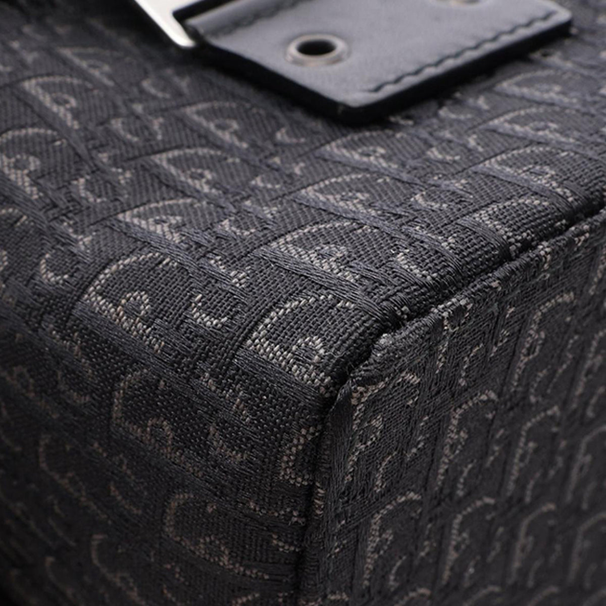 Dior Diorissimo Trotter Canvas Street Chic Vanity Bag