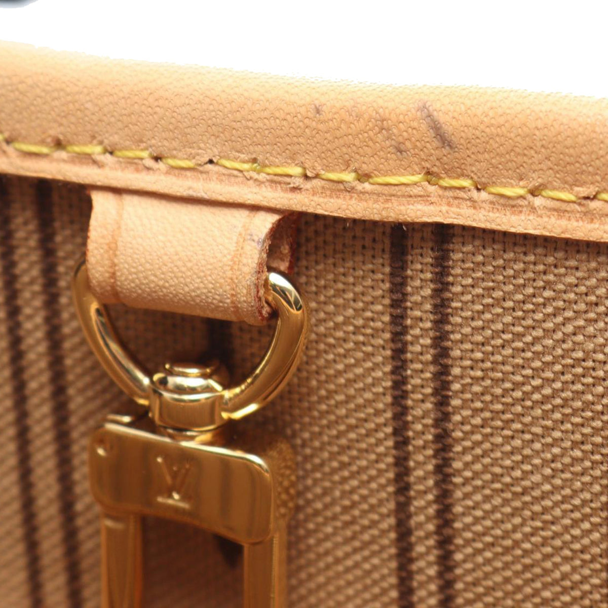 Louis Vuitton Monogram Neverfull PM