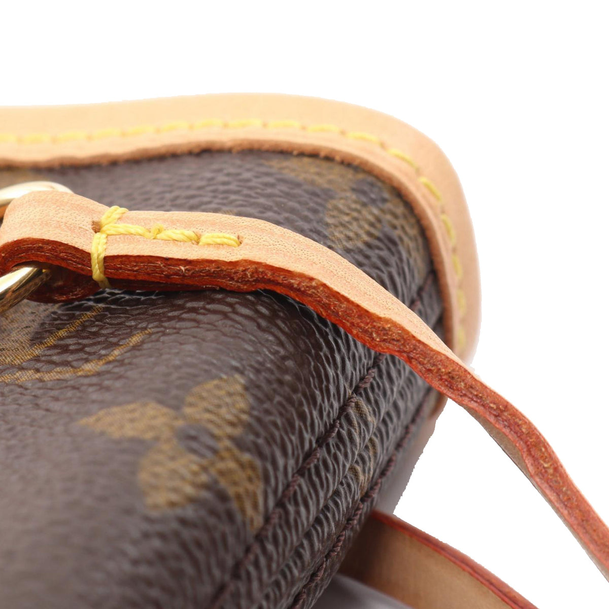 Louis Vuitton Monogram Neverfull PM