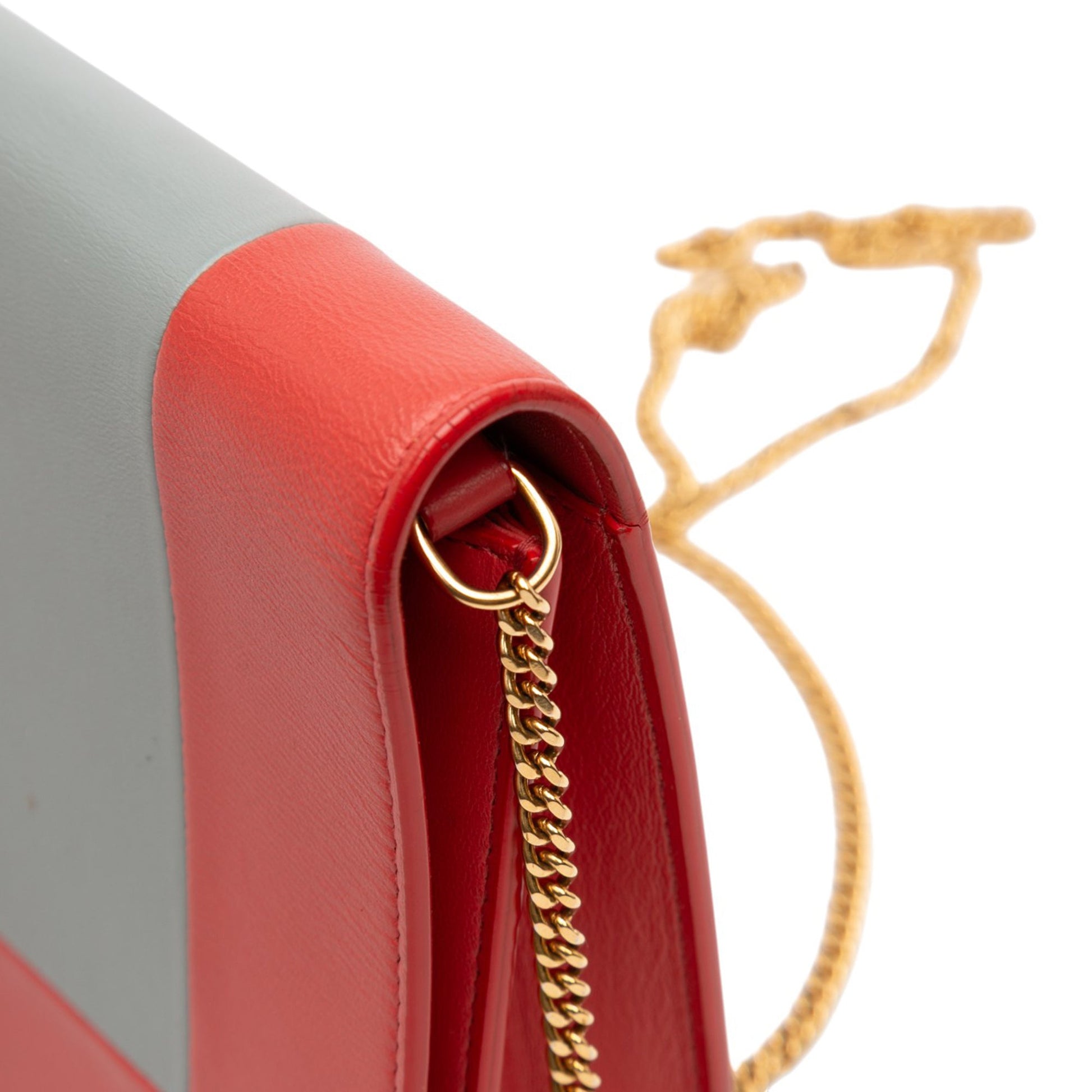 Celine Leather Frame Wallet on Chain