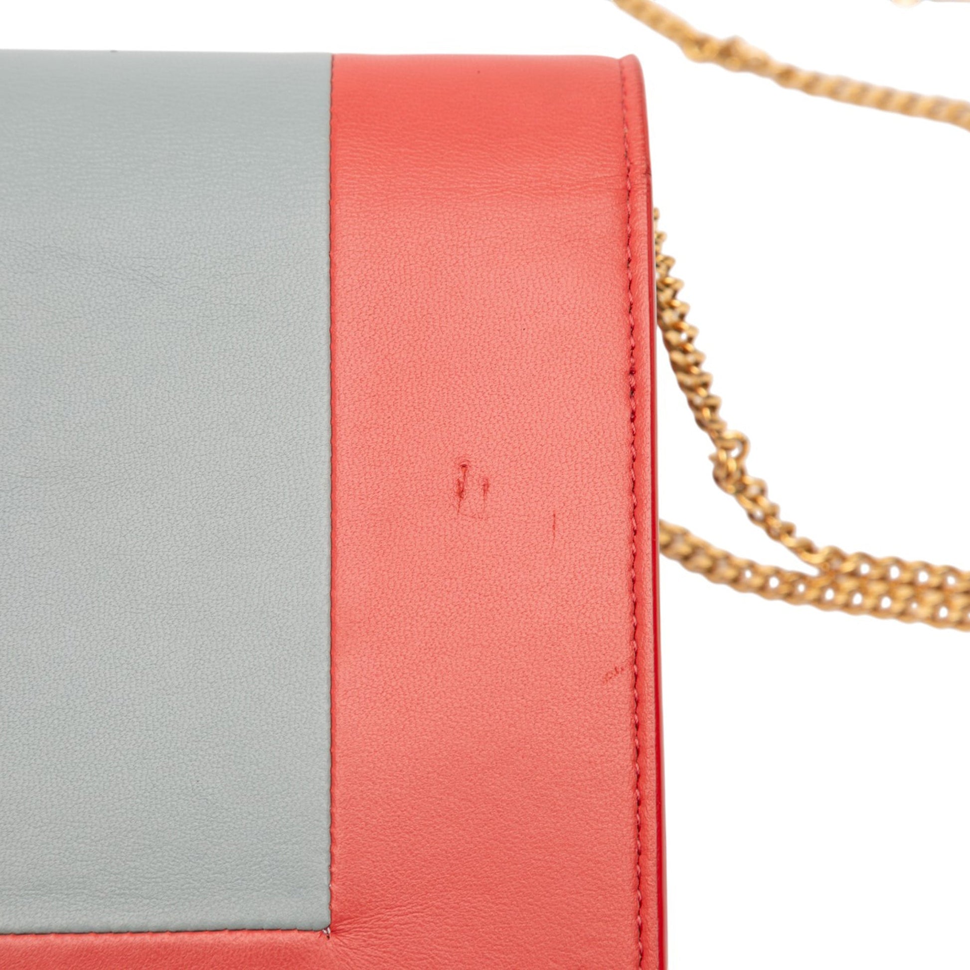 Celine Leather Frame Wallet on Chain