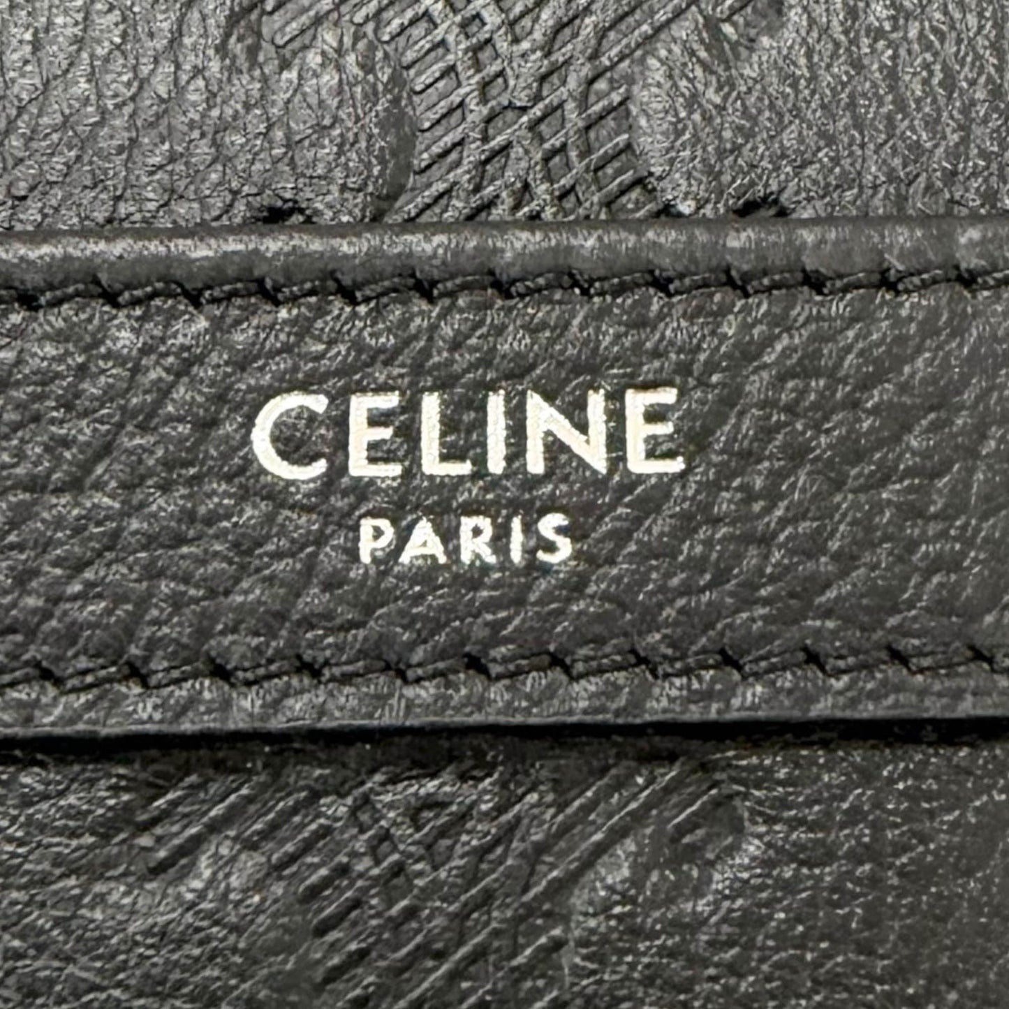 Celine Medium Triomphe Embossed Calfskin Messenger Bag