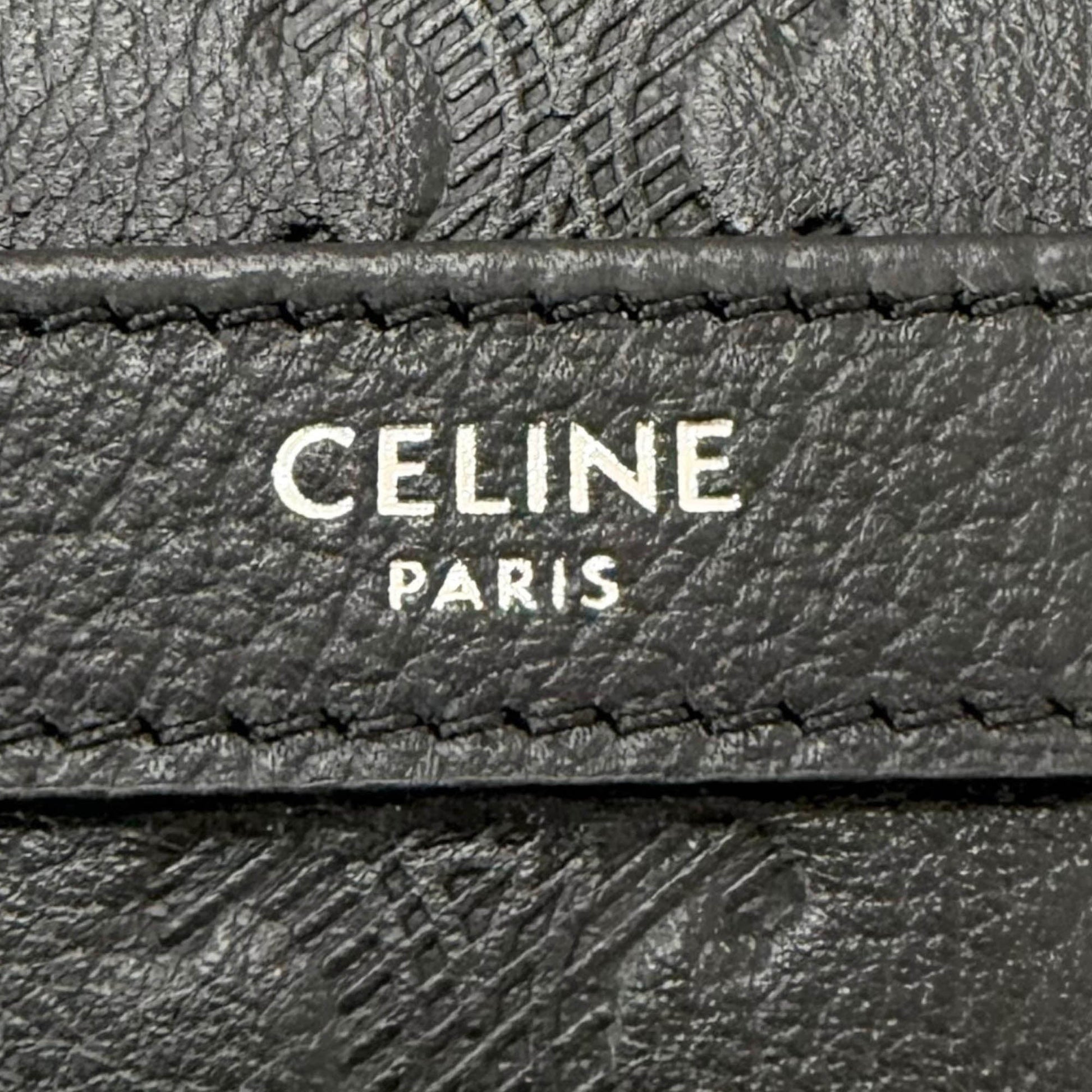 Celine Medium Triomphe Embossed Calfskin Messenger Bag