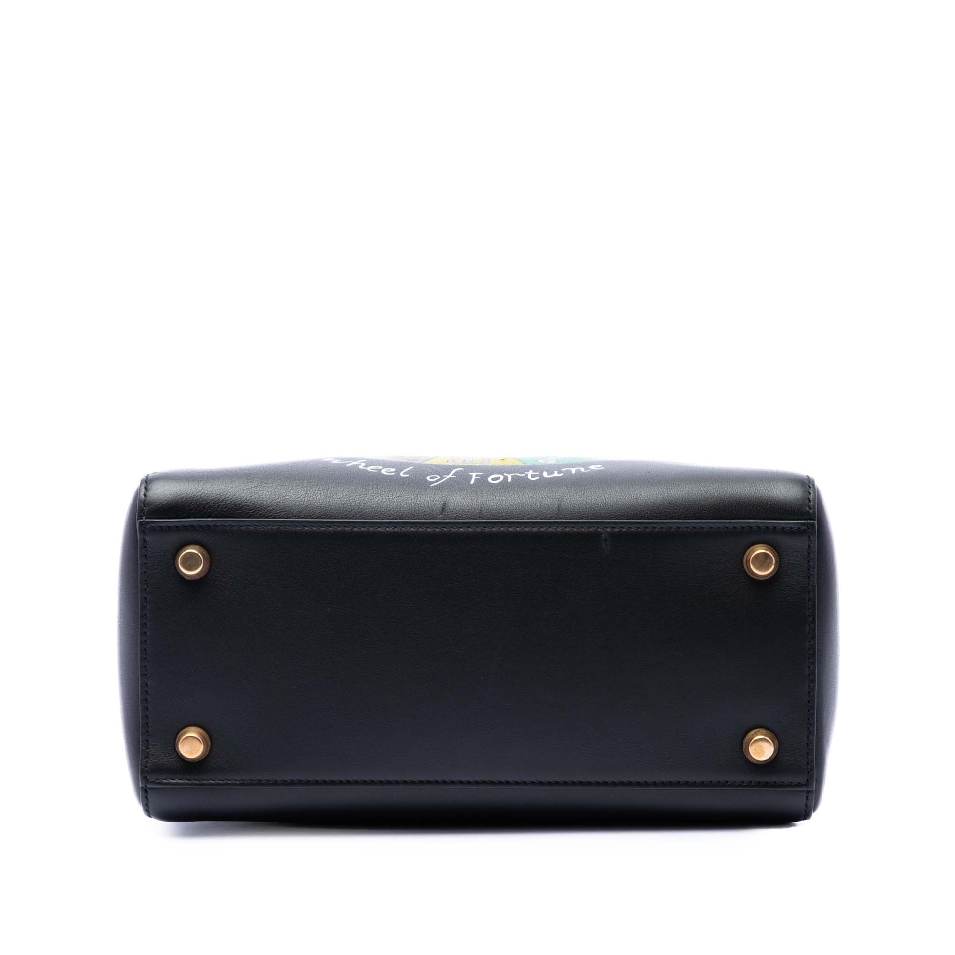 Dior Medium Calfskin Wheel of Fortune Tarot Lady Dior