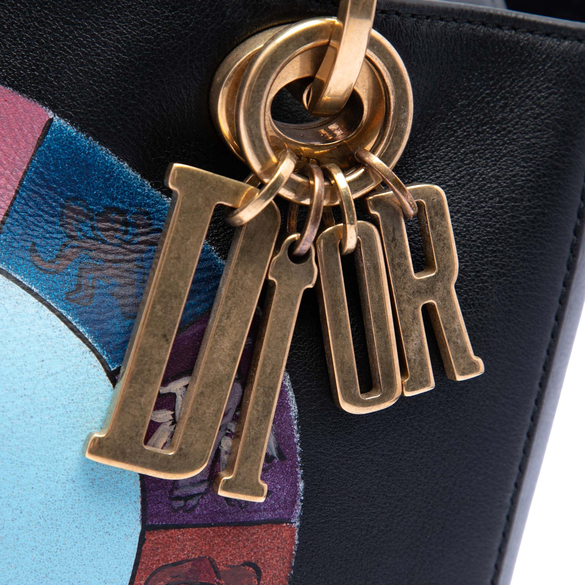 Dior Medium Calfskin Wheel of Fortune Tarot Lady Dior