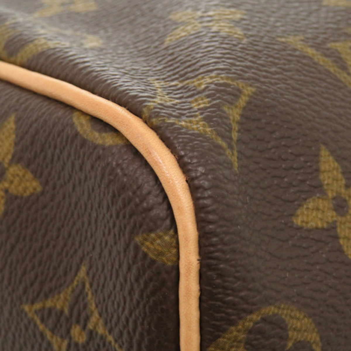 Louis Vuitton Monogram Speedy 25