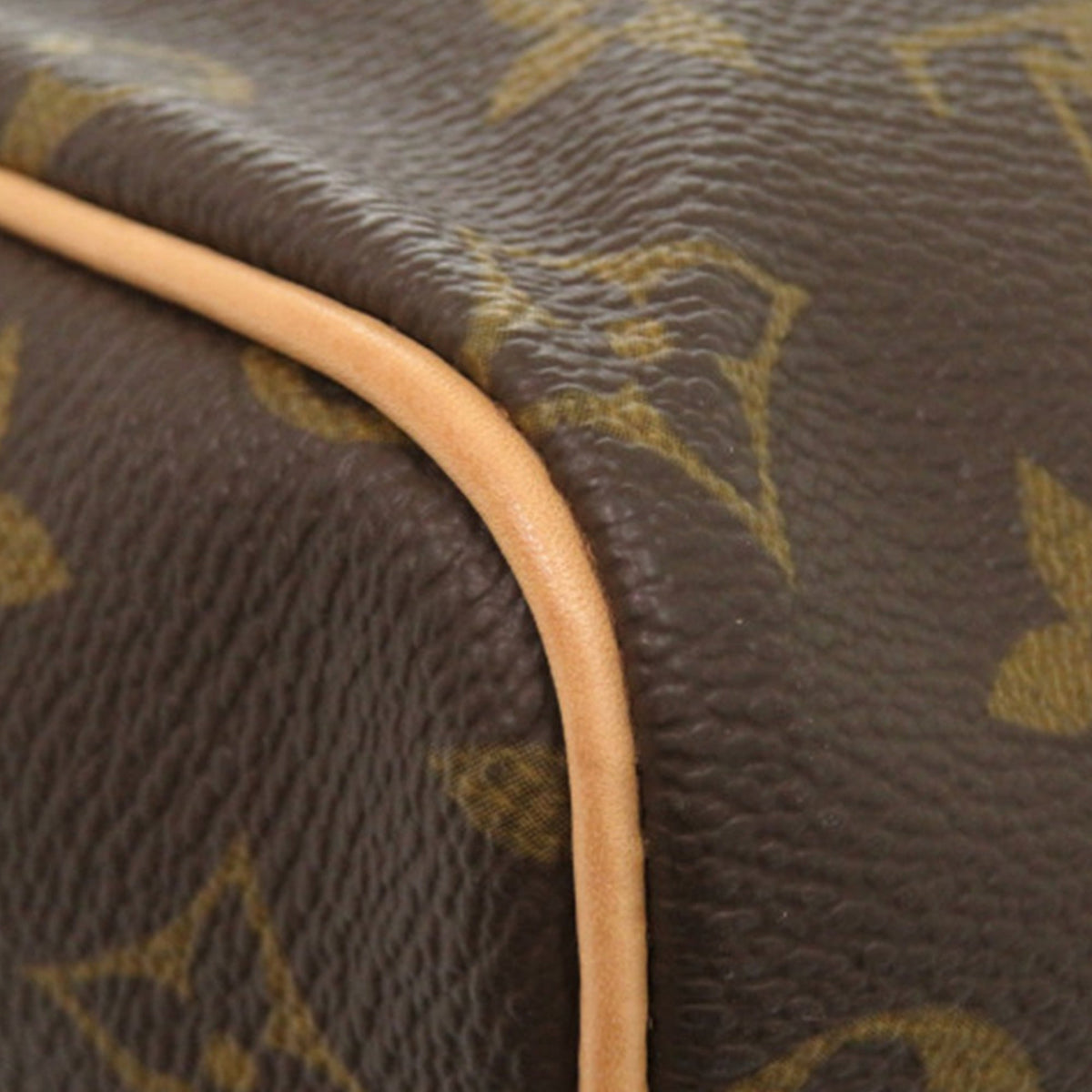 Louis Vuitton Monogram Speedy 25
