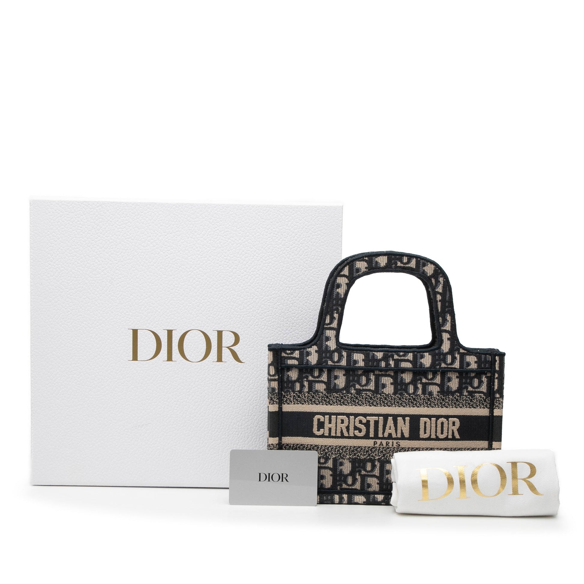 Dior Mini Oblique Canvas Book Tote