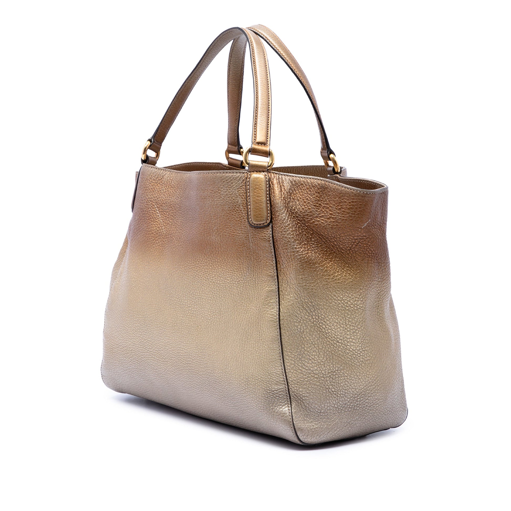 Gucci Medium Ombre Pebbled Calfskin Soho Cellarius Tote