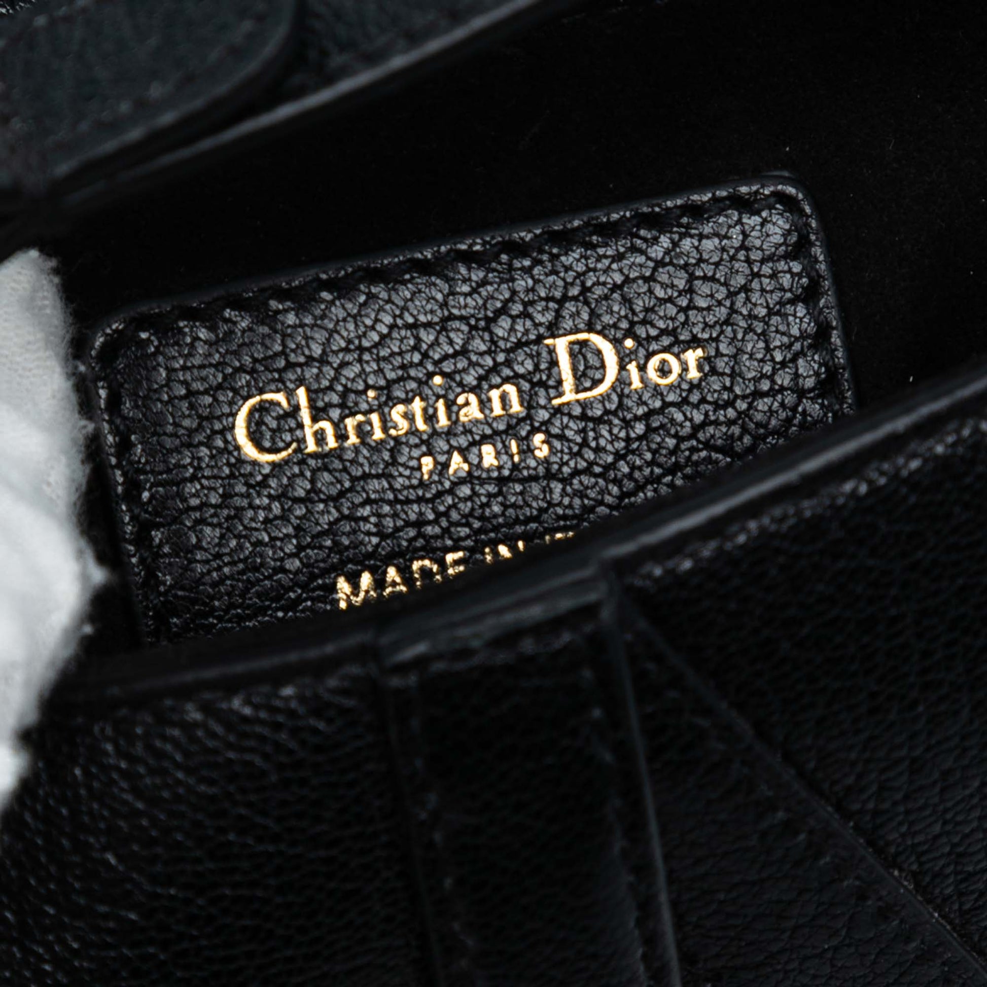 Dior Micro Goatskin Saddle