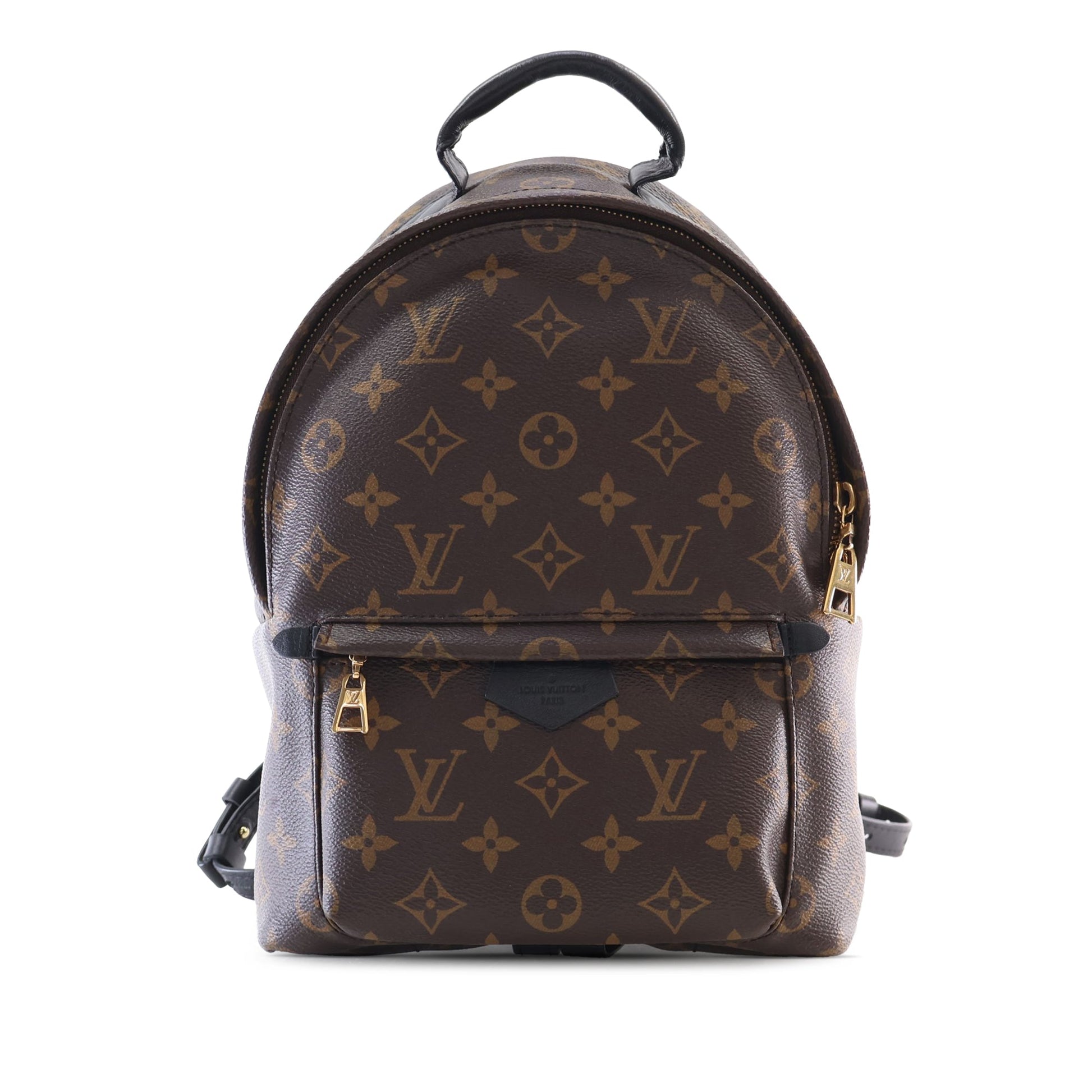Louis Vuitton Monogram Palm Springs PM
