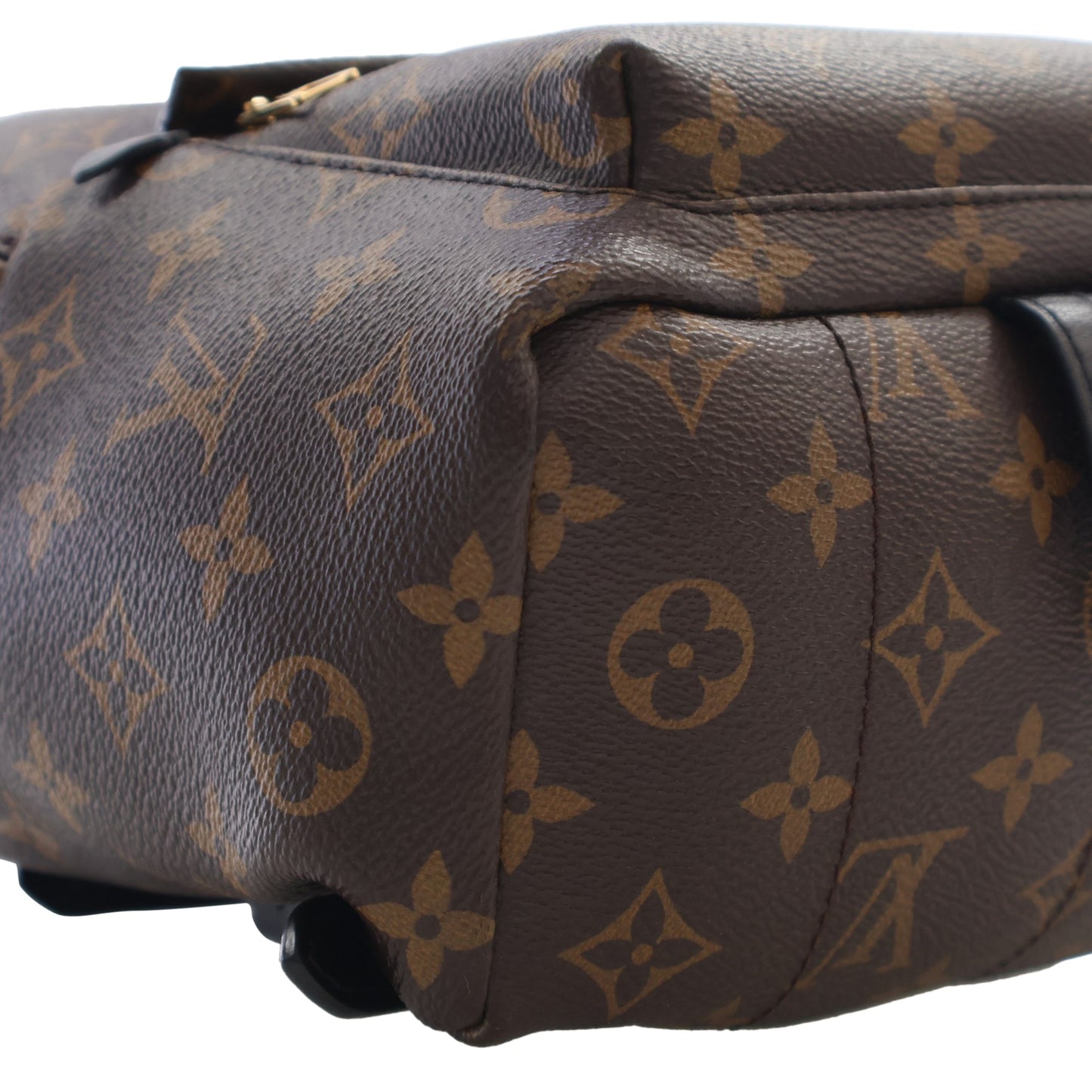Louis Vuitton Monogram Palm Springs PM