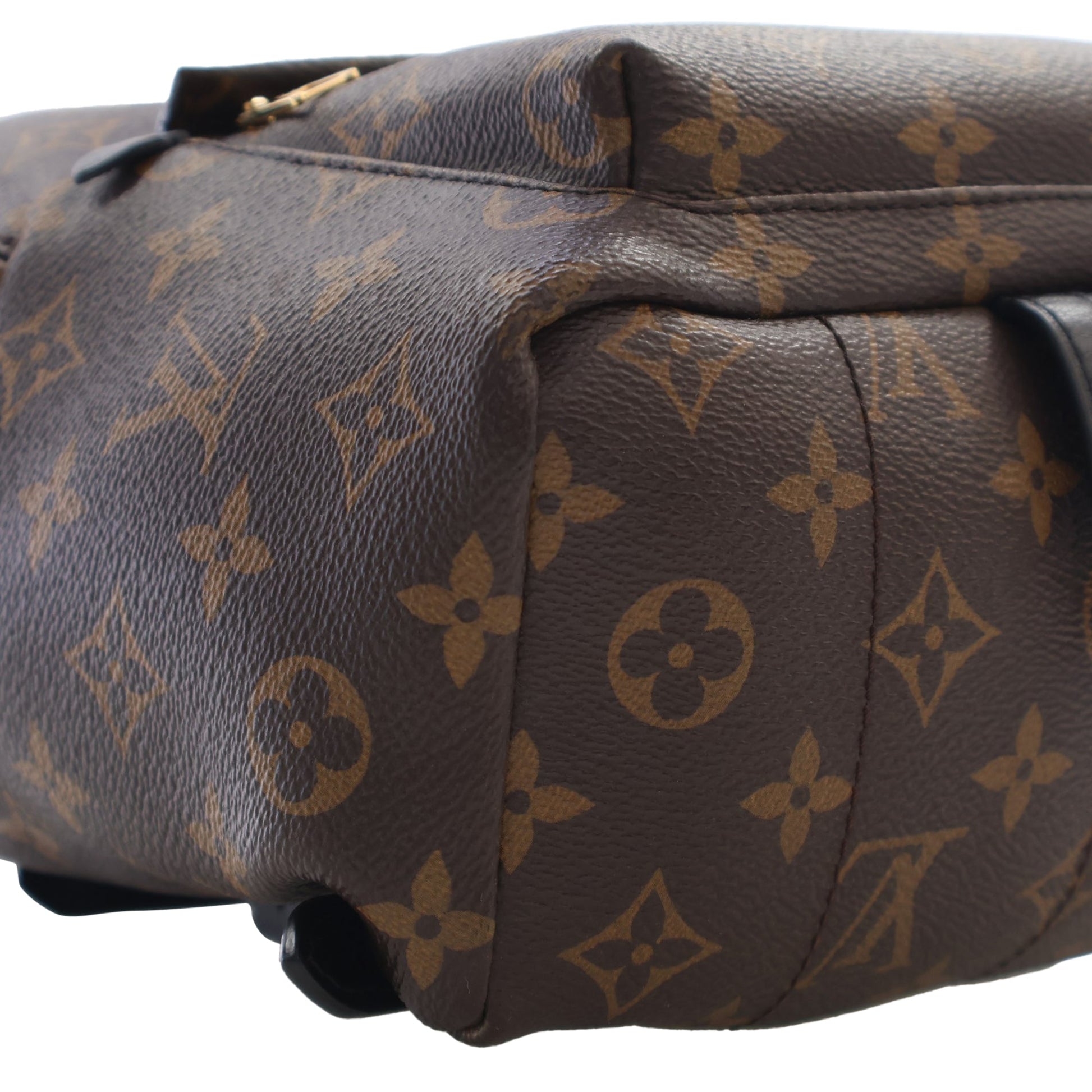 Louis Vuitton Monogram Palm Springs PM