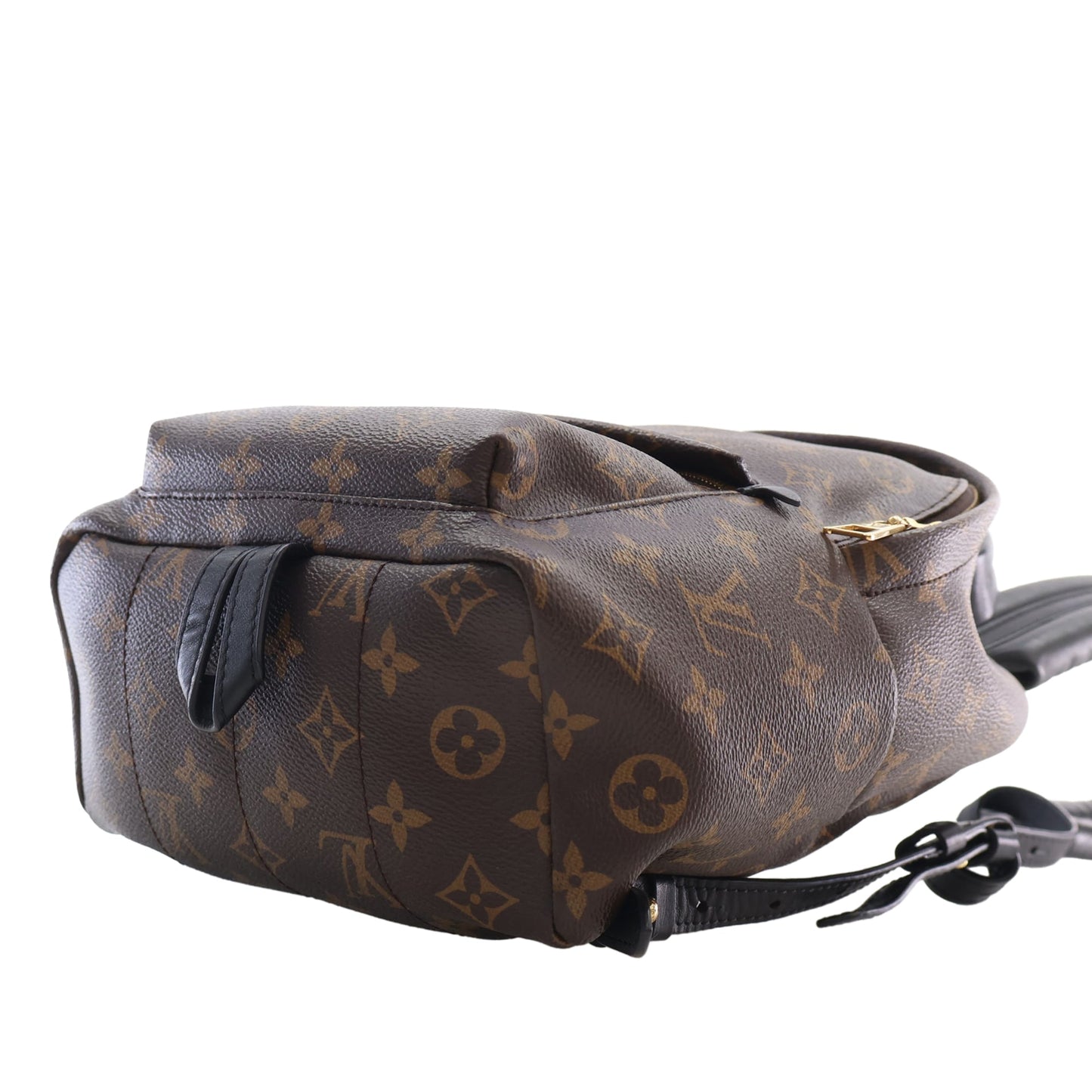 Louis Vuitton Monogram Palm Springs PM