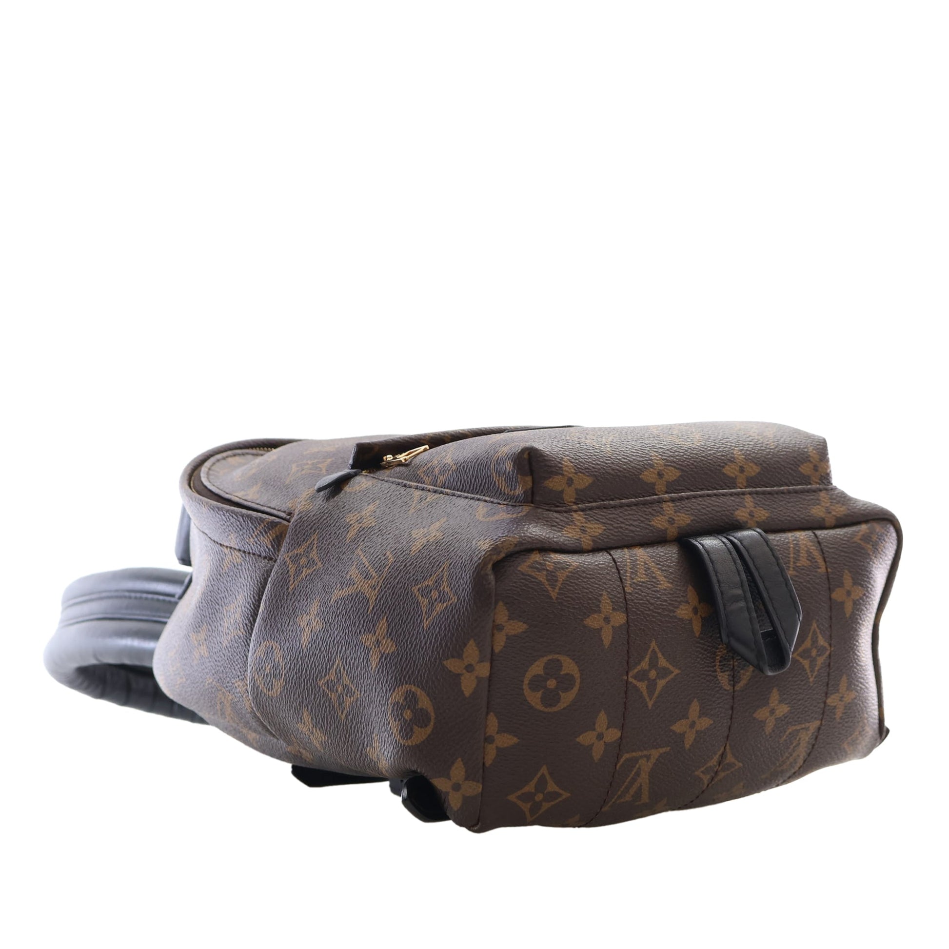 Louis Vuitton Monogram Palm Springs PM