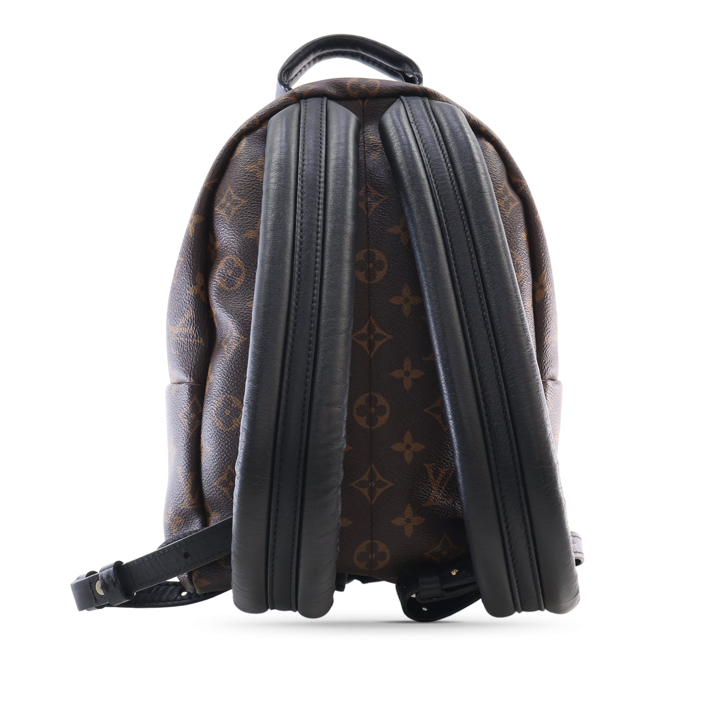 Louis Vuitton Monogram Palm Springs PM
